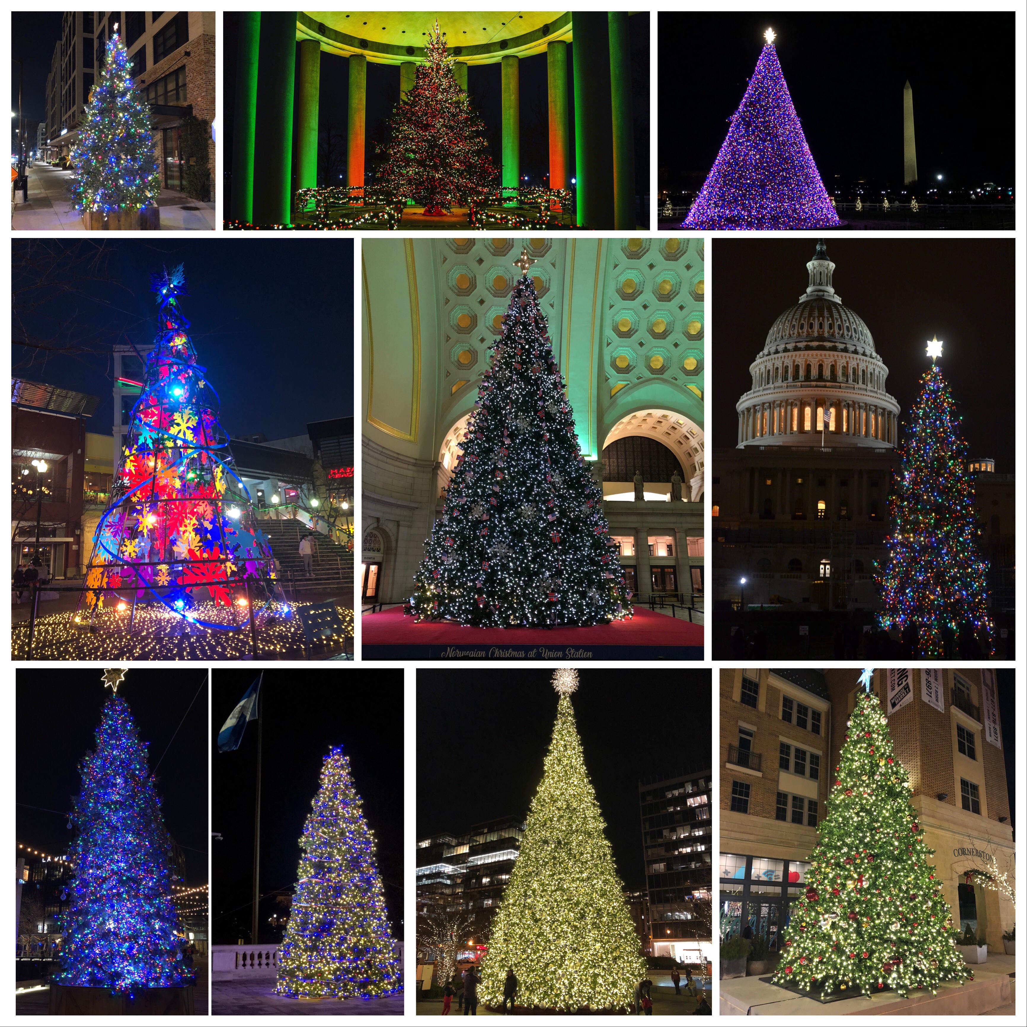 Merry Christmas DC. Here is another collection of different trees from
