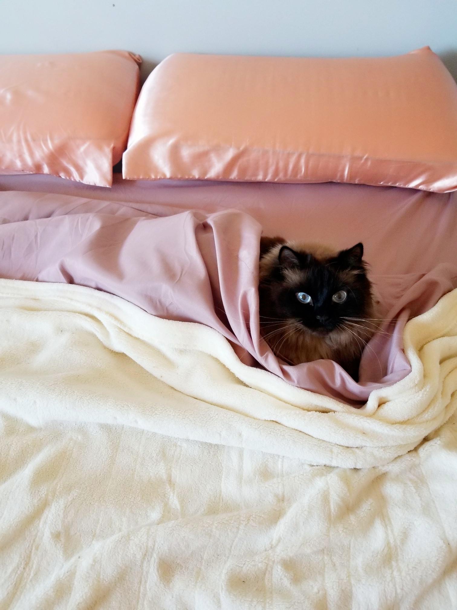 All Aldi bedding! r/aldi