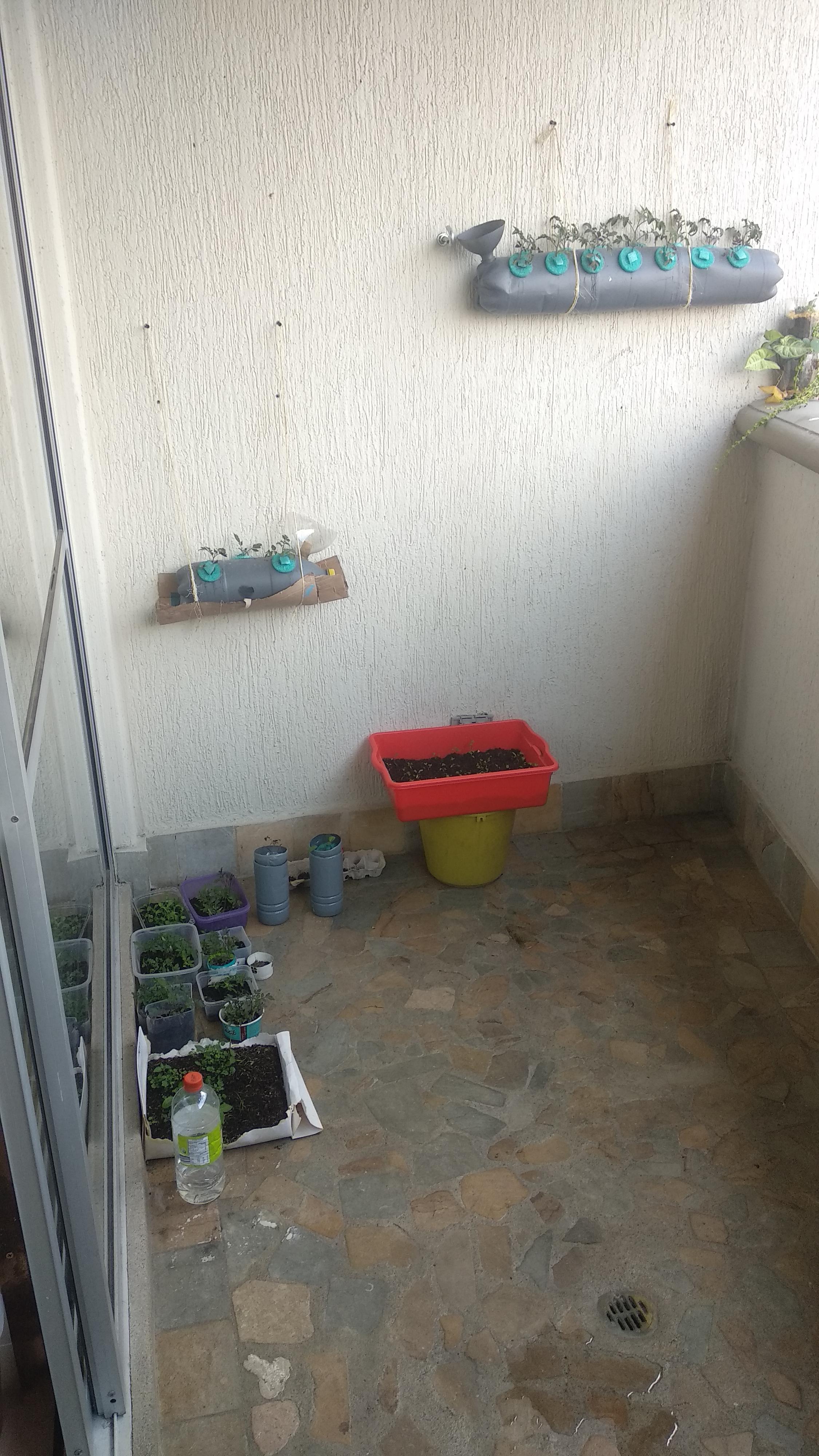 My first hydroponics set up! I reused plastic bottles and pool noodles