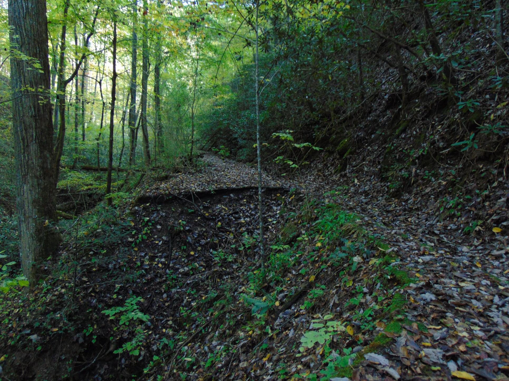 This section of Old Highway 68 has been abandoned for over 40 years