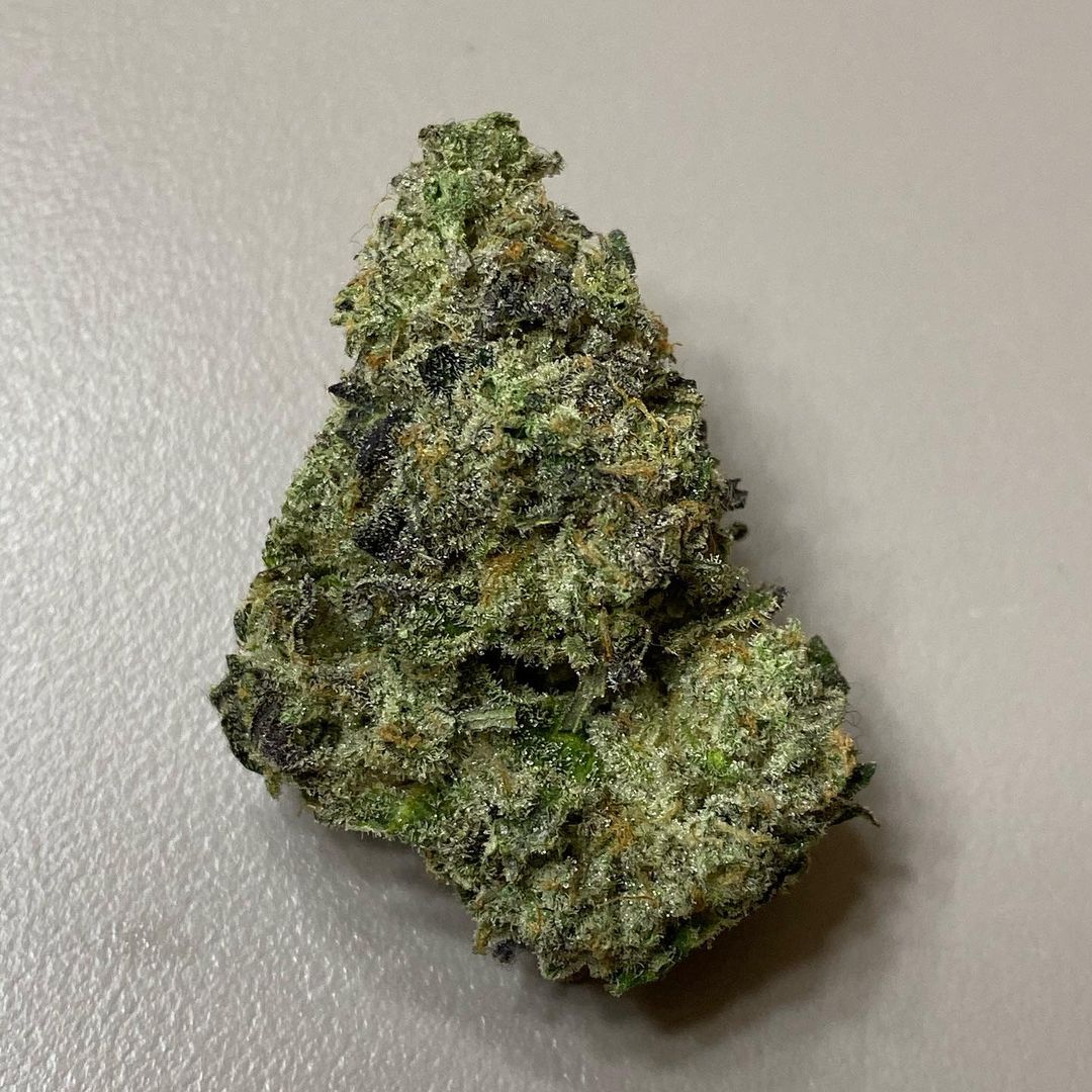 First Class Funk!! (GMO x Jet Fuel Gelato) We are proud to say we just