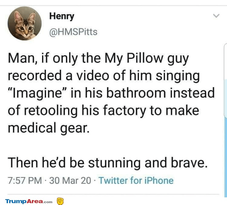 Man, if only the My Pillow guy... r/ConservativeMemes