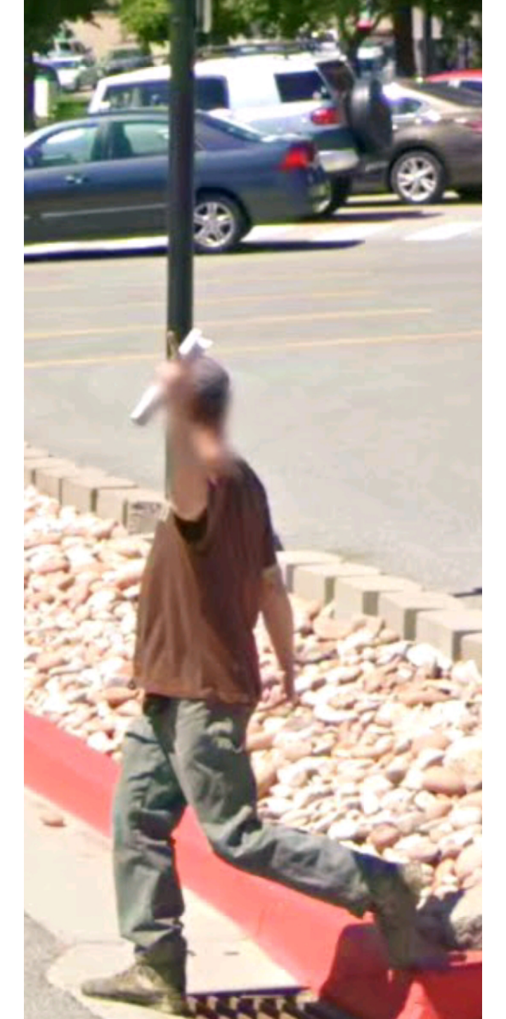 Random dude flipping off the Google Maps car r/googlemapsshenanigans