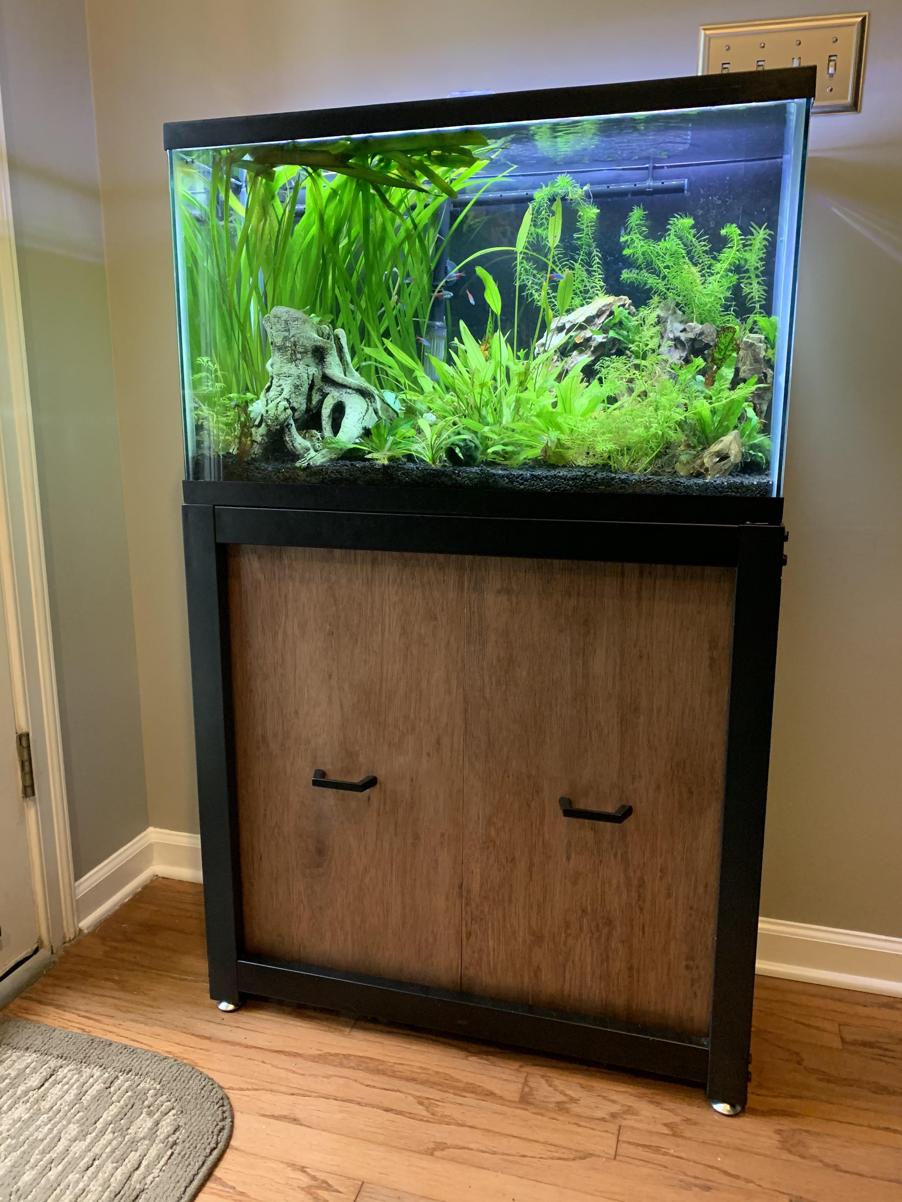 I cut and stained some wood panels to enclose my metal aquarium stand