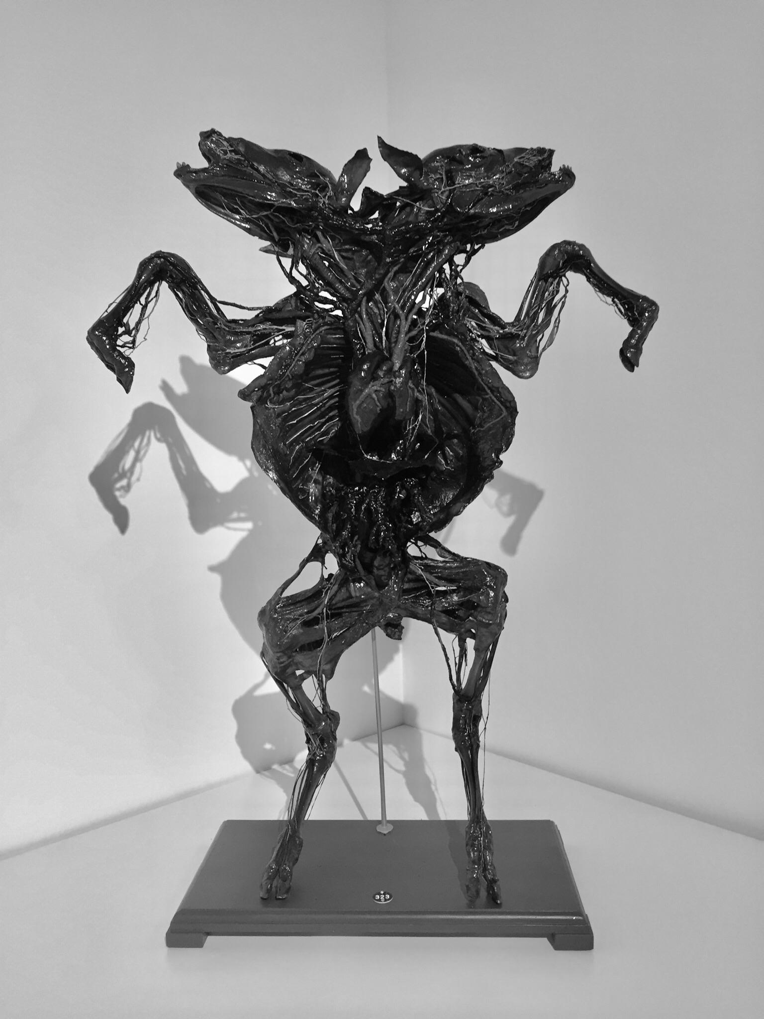 Yesterday i visited an anatomy museum [oc] r/creepy