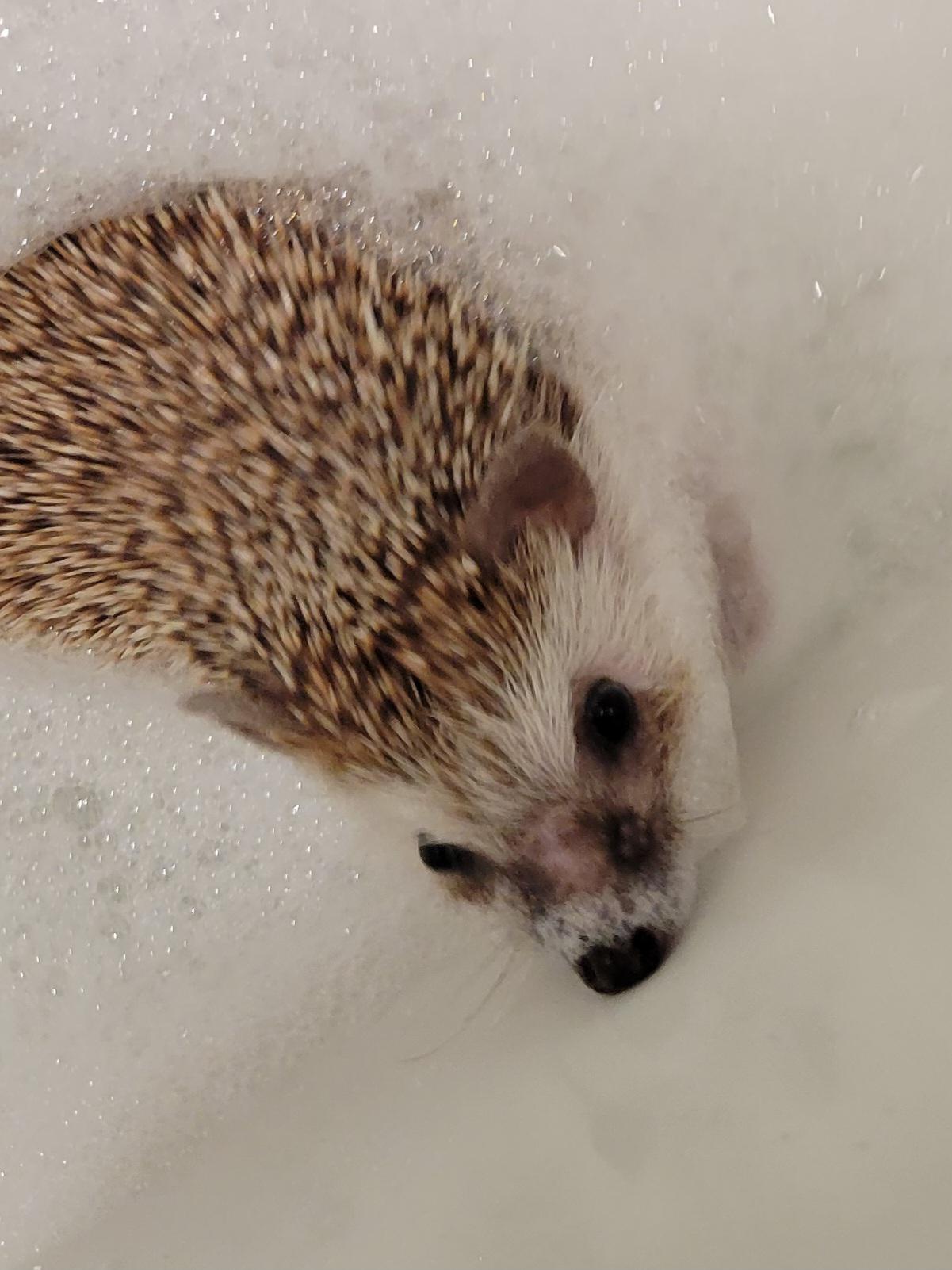 Penelope Rose 🌹 ♥️ she may have cancer but she's enjoying life to