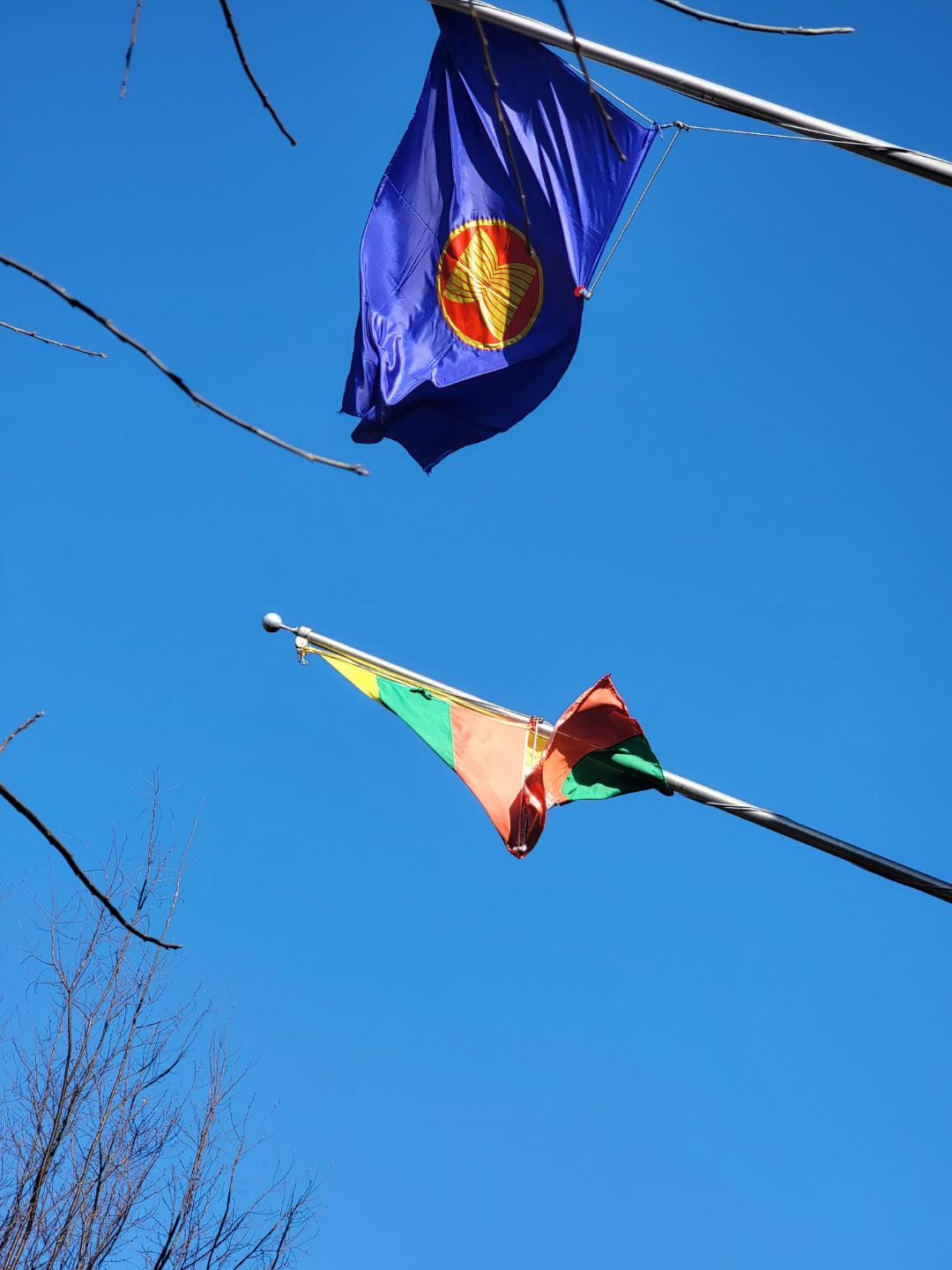 Does anyone know what the blue flag is? vexillology