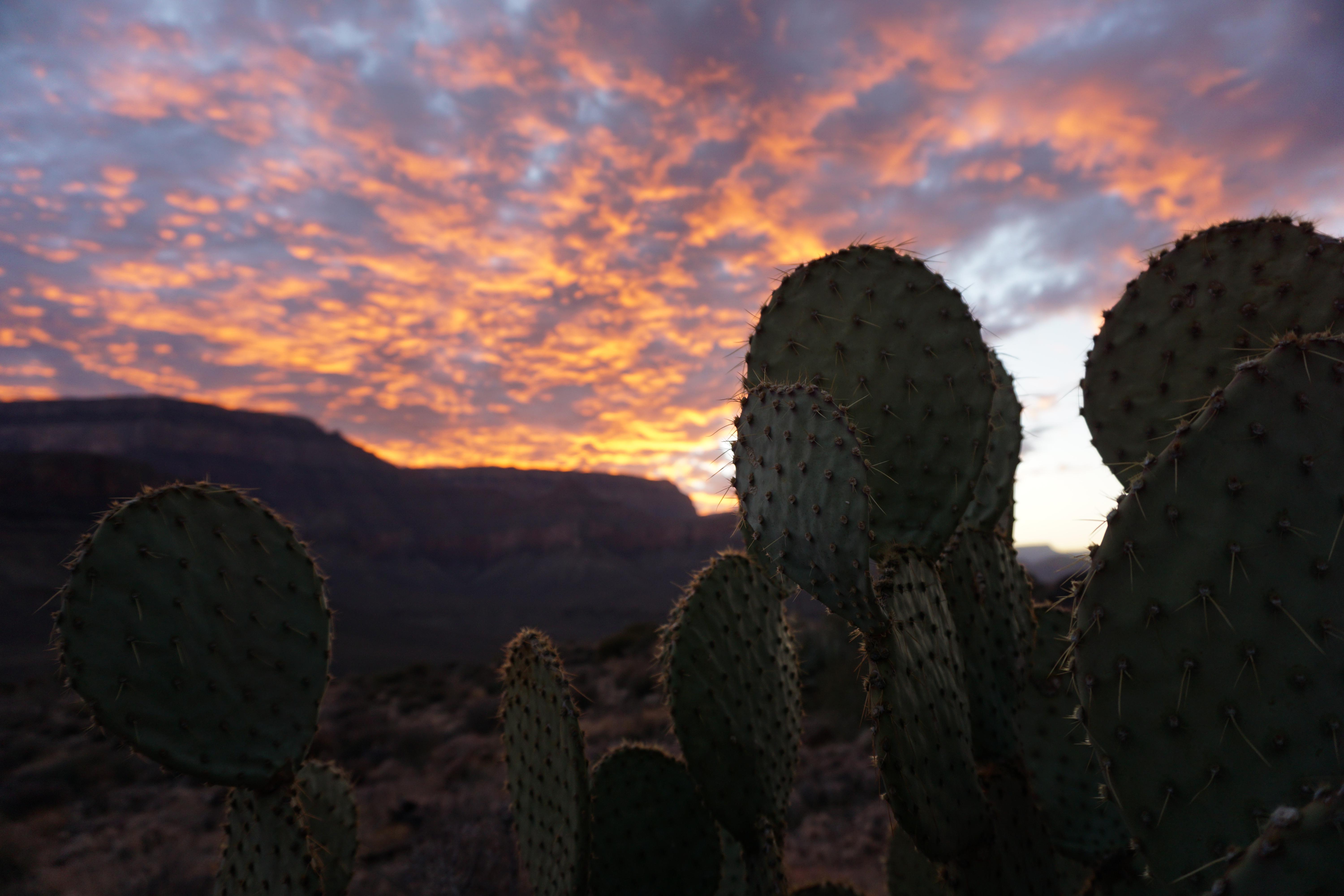 45 best Cactus Canyon images on Pholder Tf2, Cactus and SC Build It