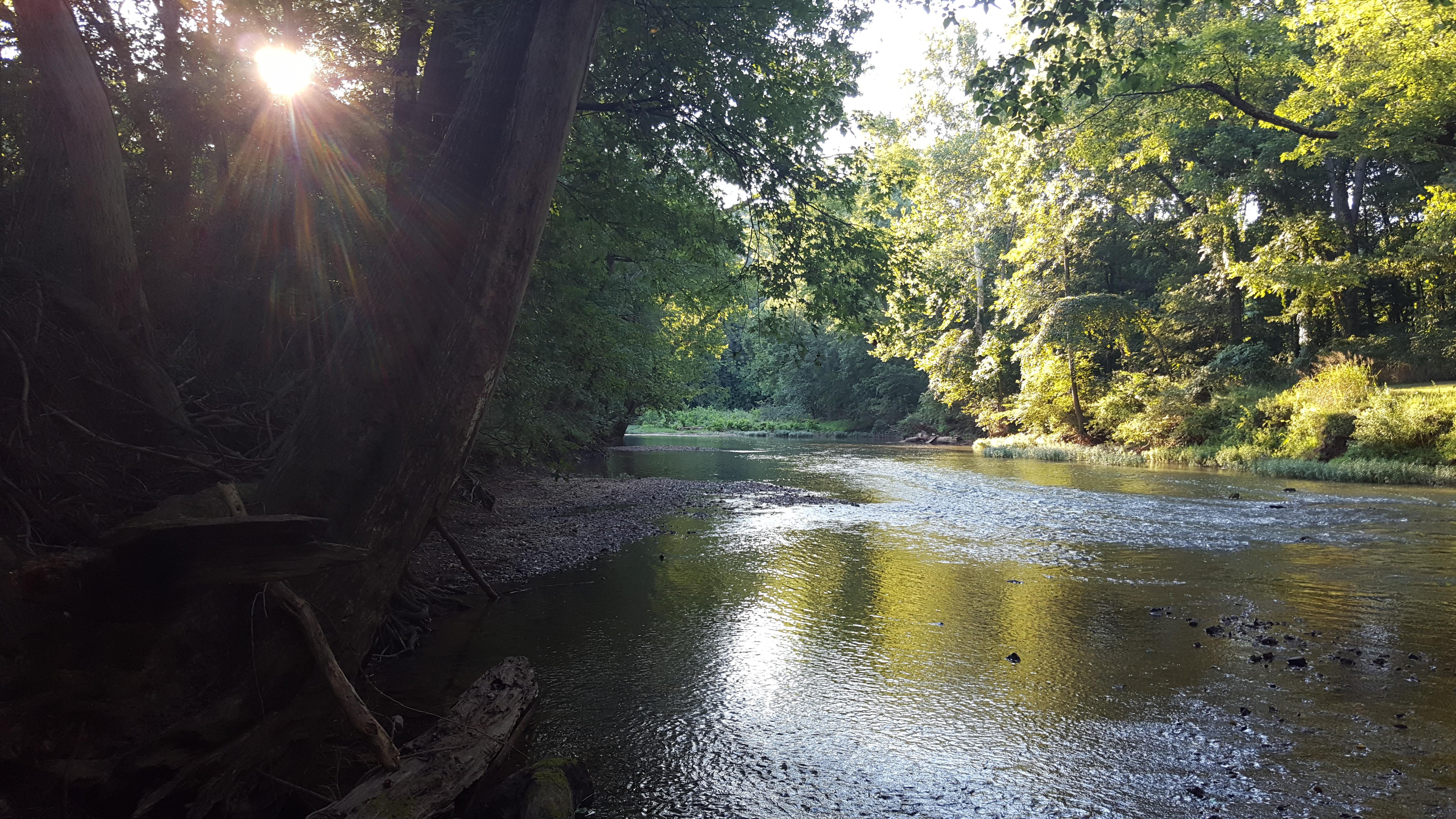 Drake's Creek, Woodburn Kentucky [OC] [5312 x 2988] r/EarthPorn