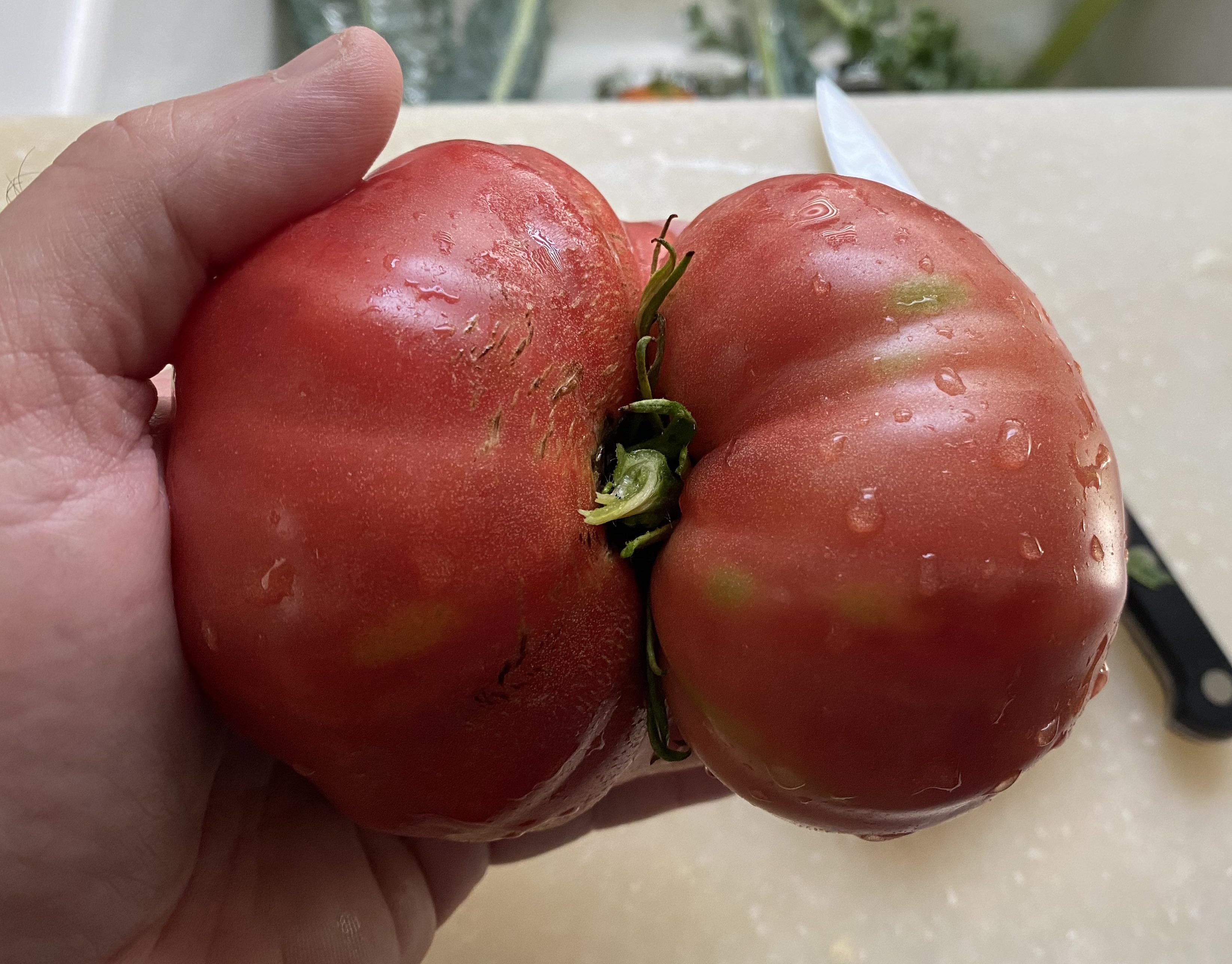 When you eat too much fiber r/WeHaveSeenTheButthole