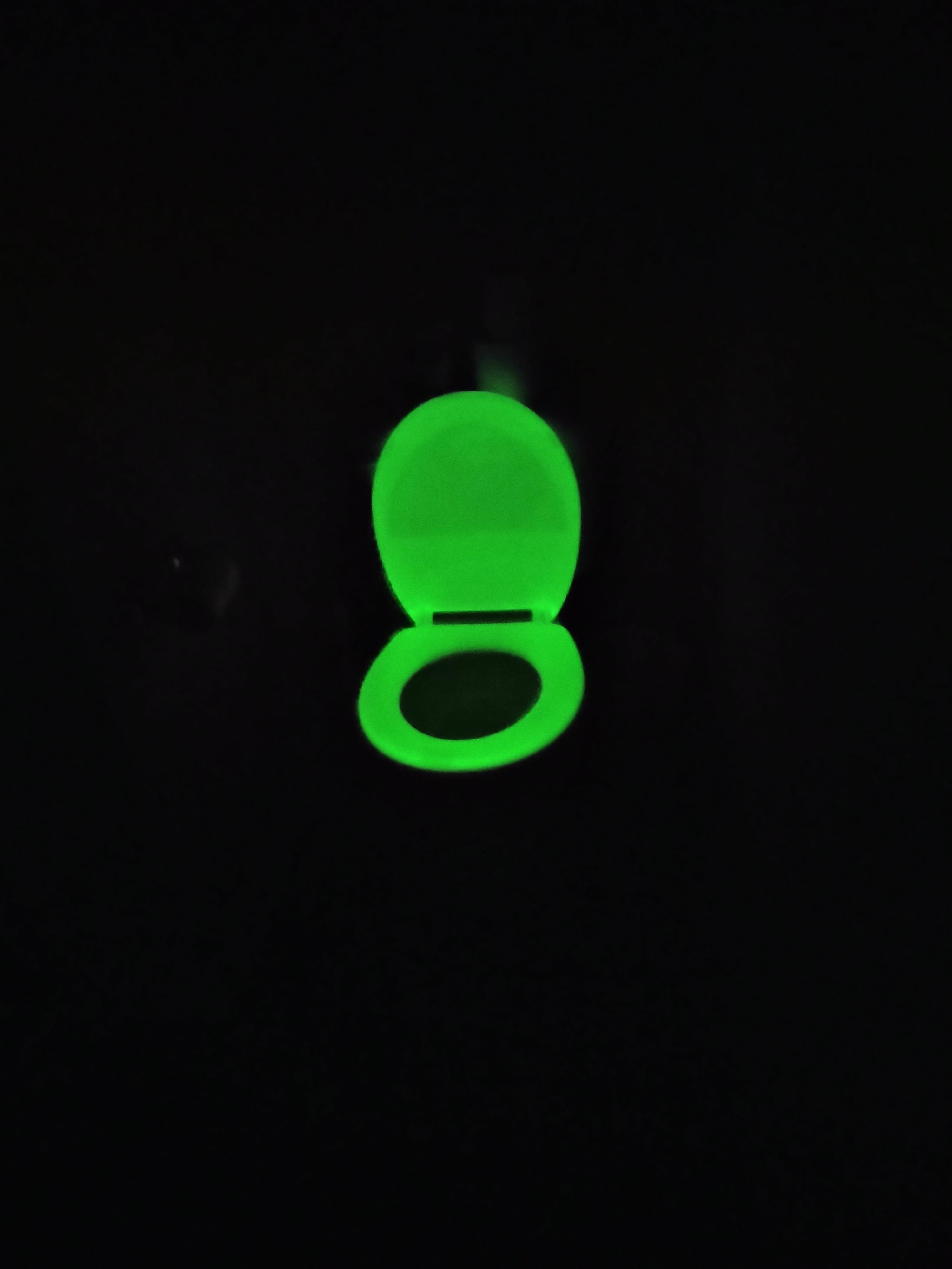 My new toilet seat glows in the dark