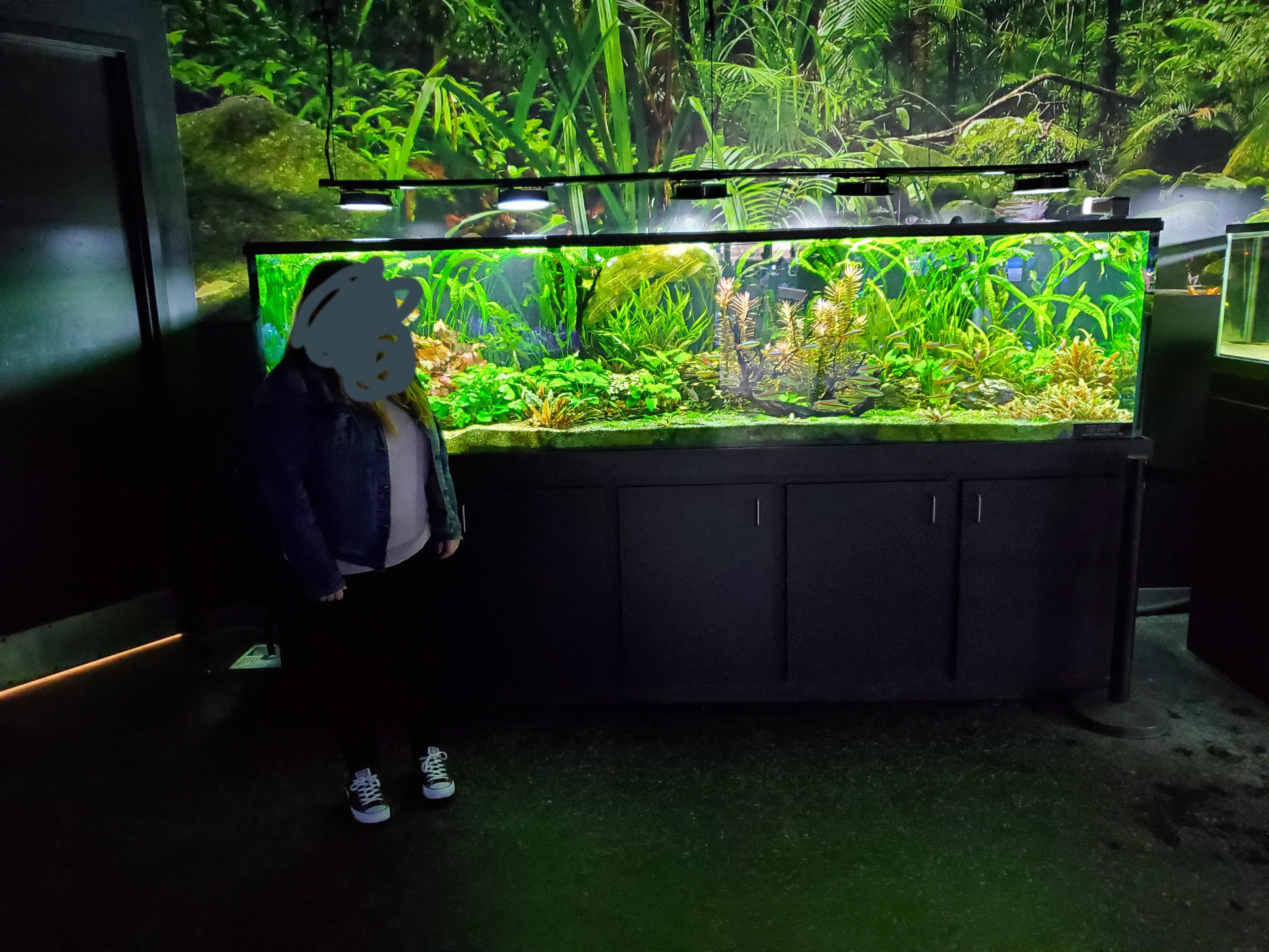 This is a 450 gallon aquarium at Aquarium adventures in Columbus Ohio