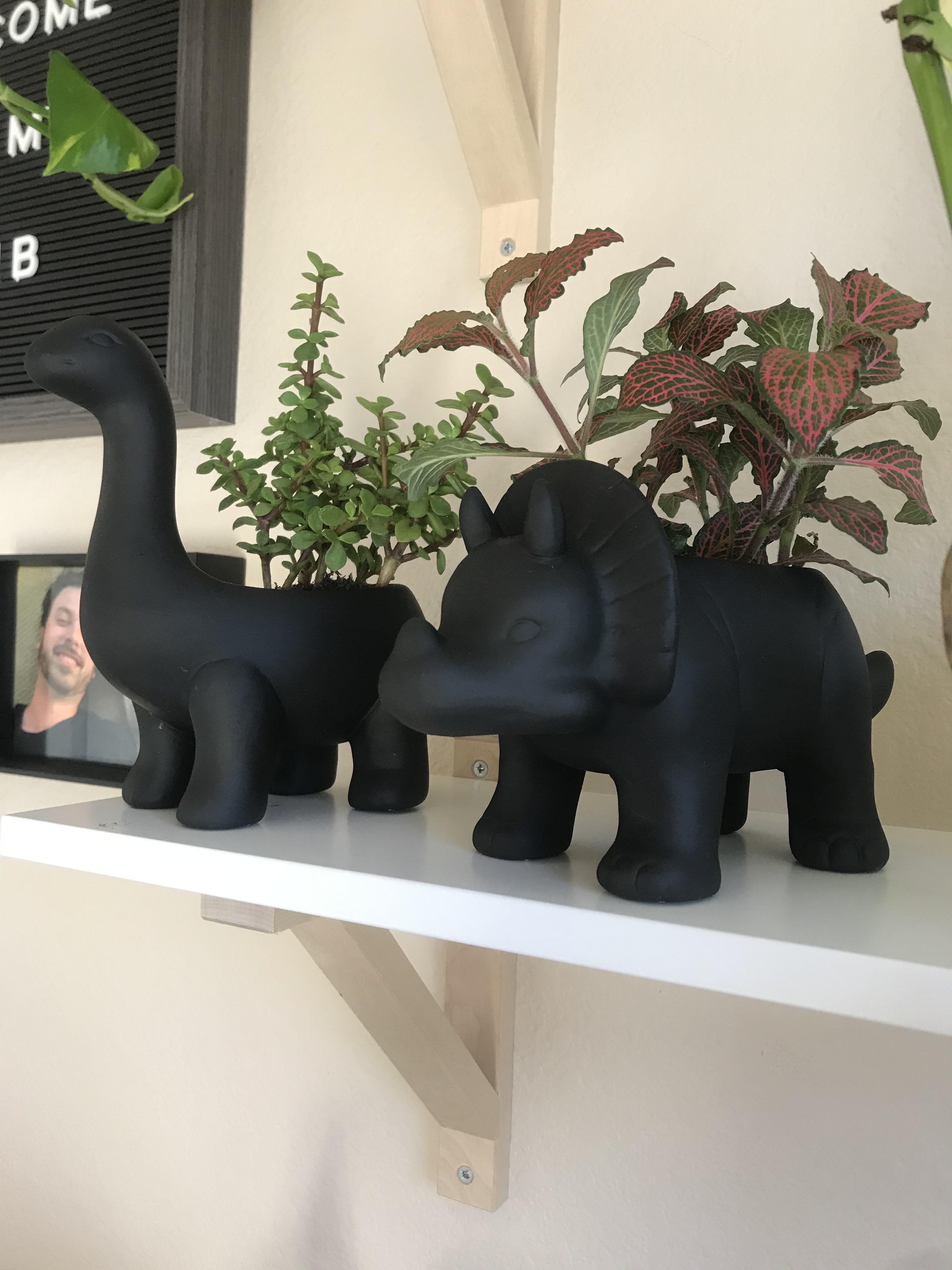 I spray painted my target dino pots black, and I’m very excited about