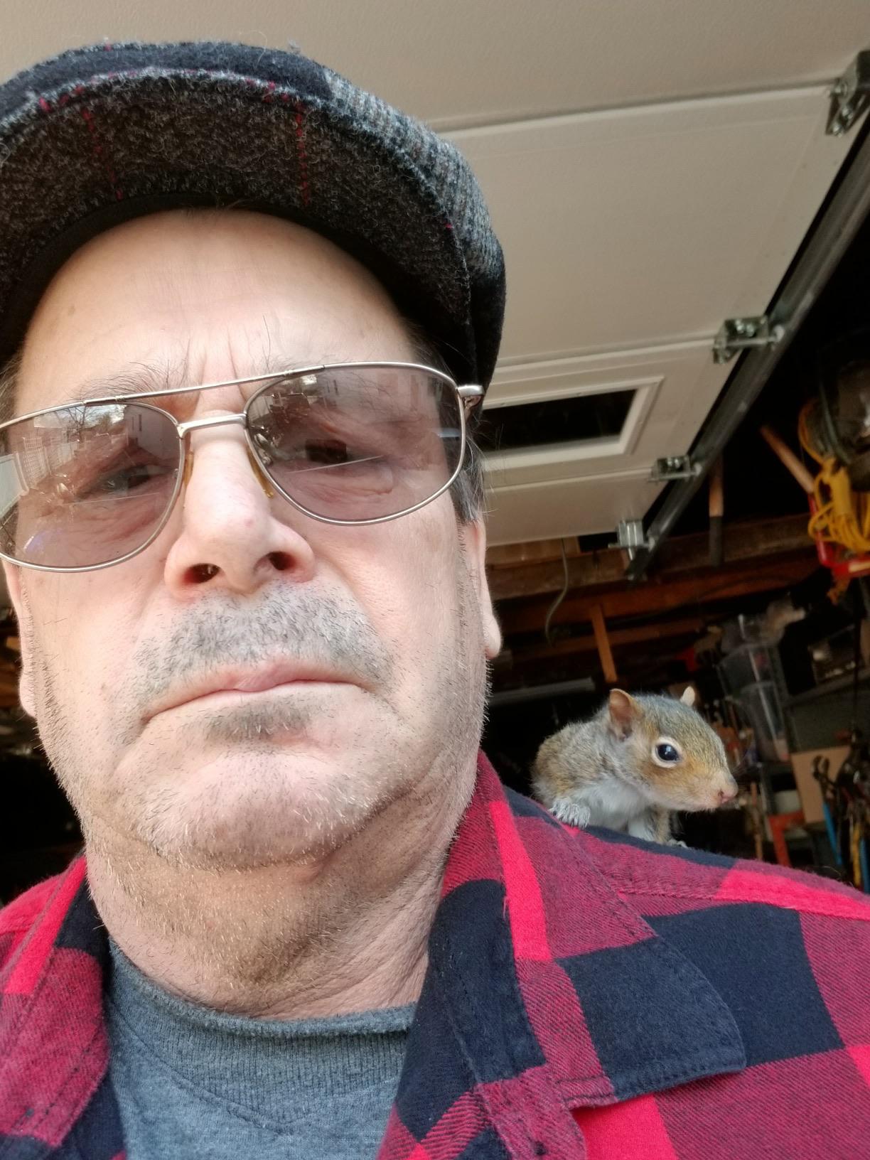 Man rescues squirrels after his dog found them in the garden, now they