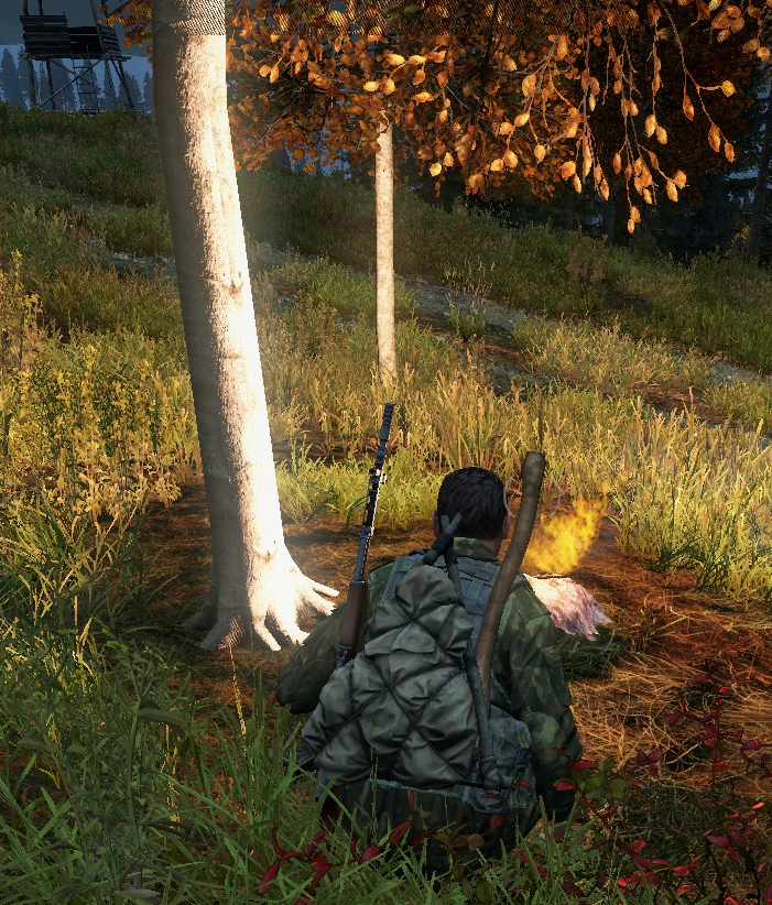 By The Fireplace r/dayz