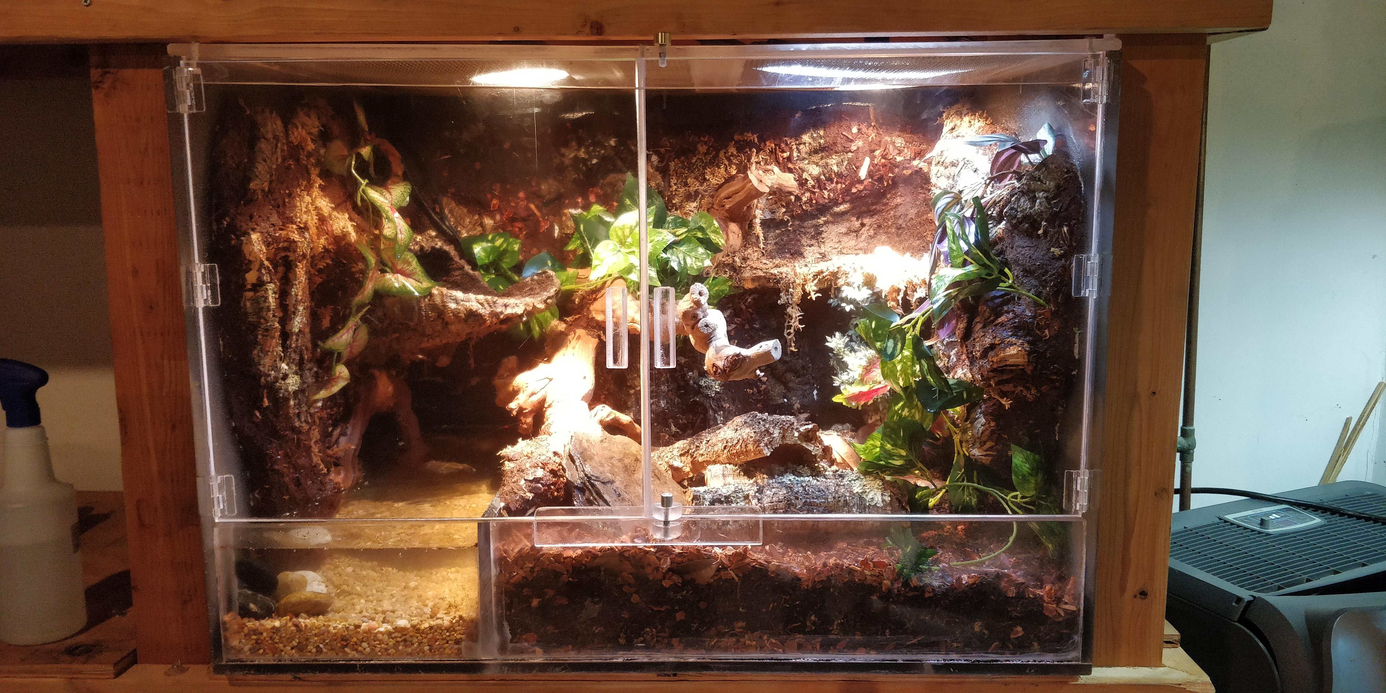Acrylic terrarium (paludarium?) Is finally done. r/HerpHomes