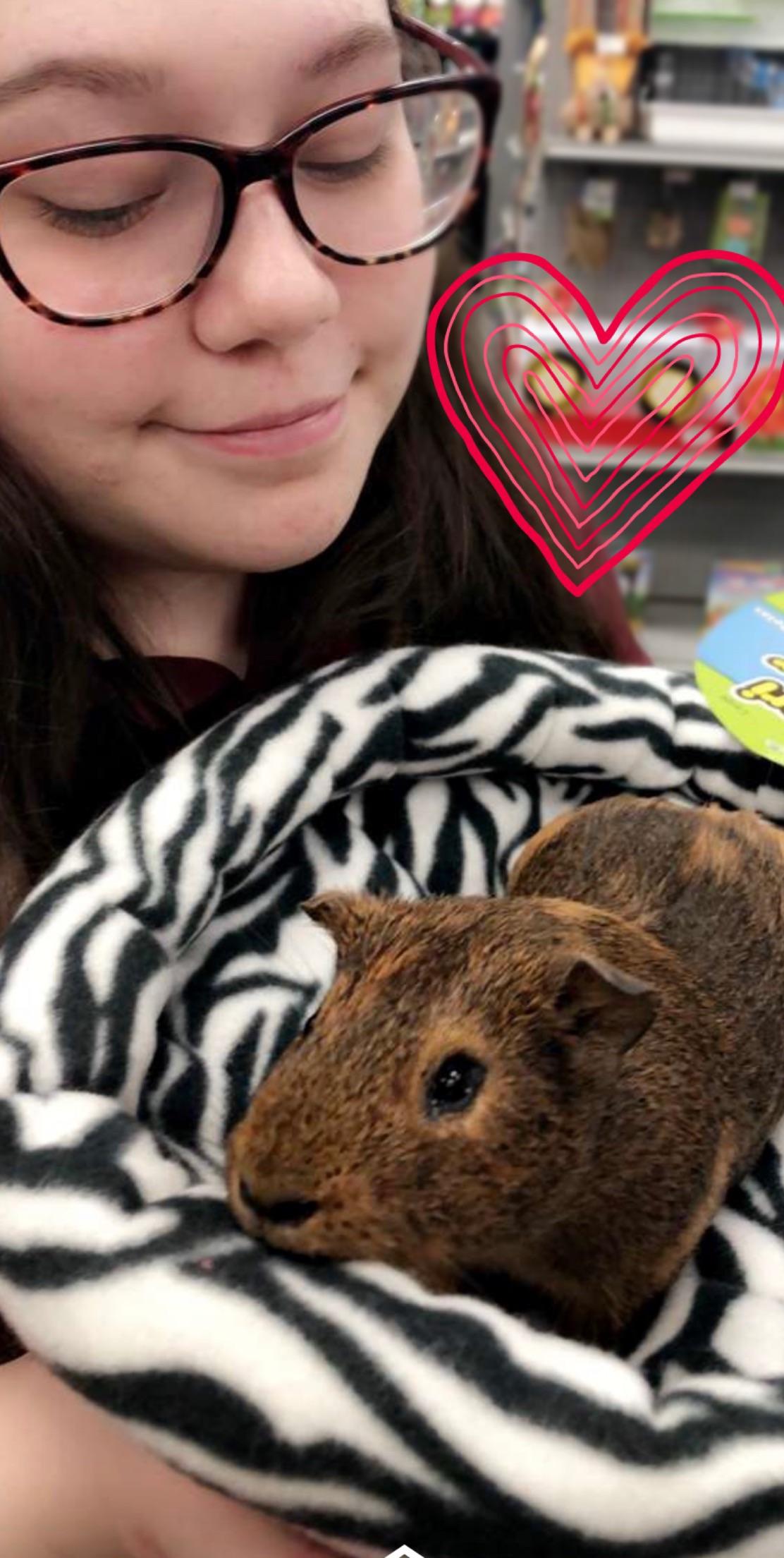 Penelope update have filled out an application to bring a new pair of