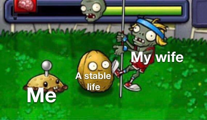 Plants Vs Zombies Memes