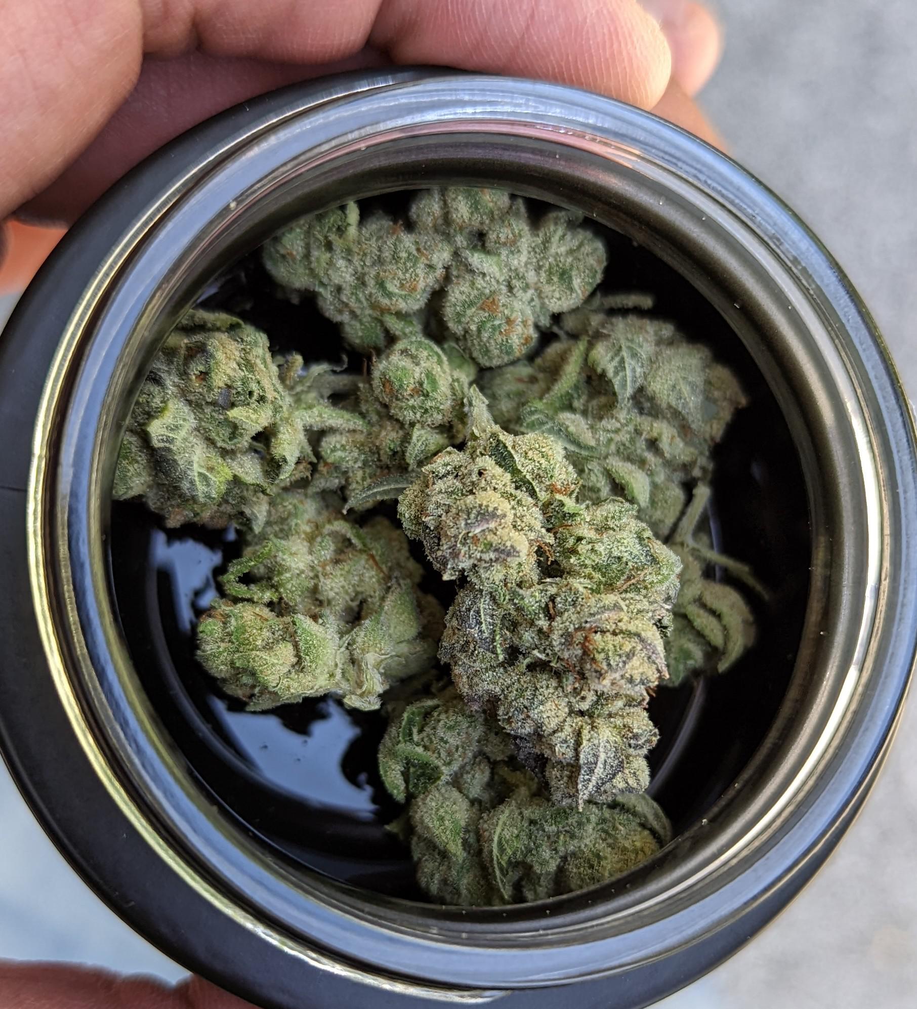 Cereal Milk 2 Rythm r/PaMedicalMarijuana