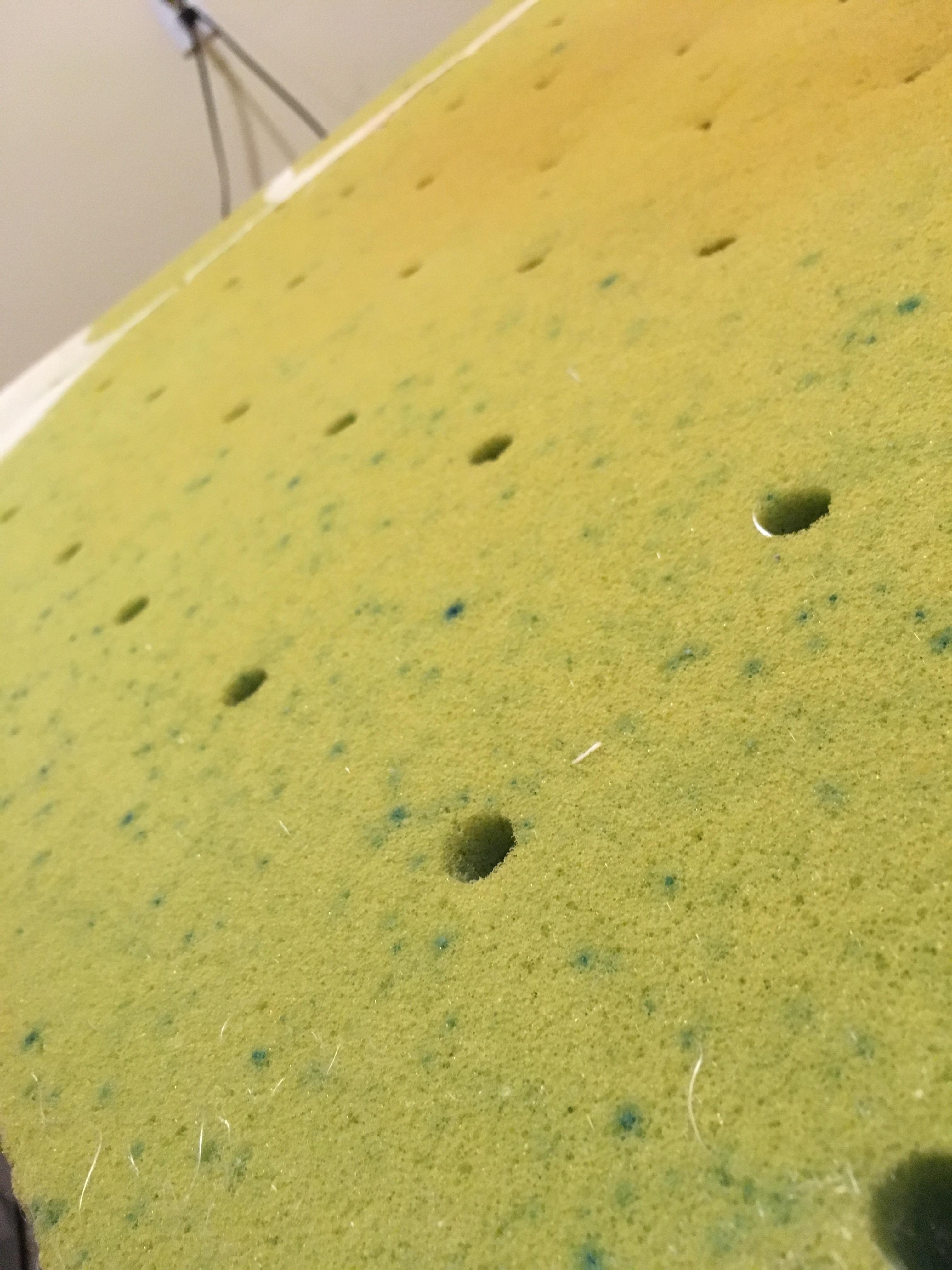 What are these green specs on my mattress? Is there any chance they're