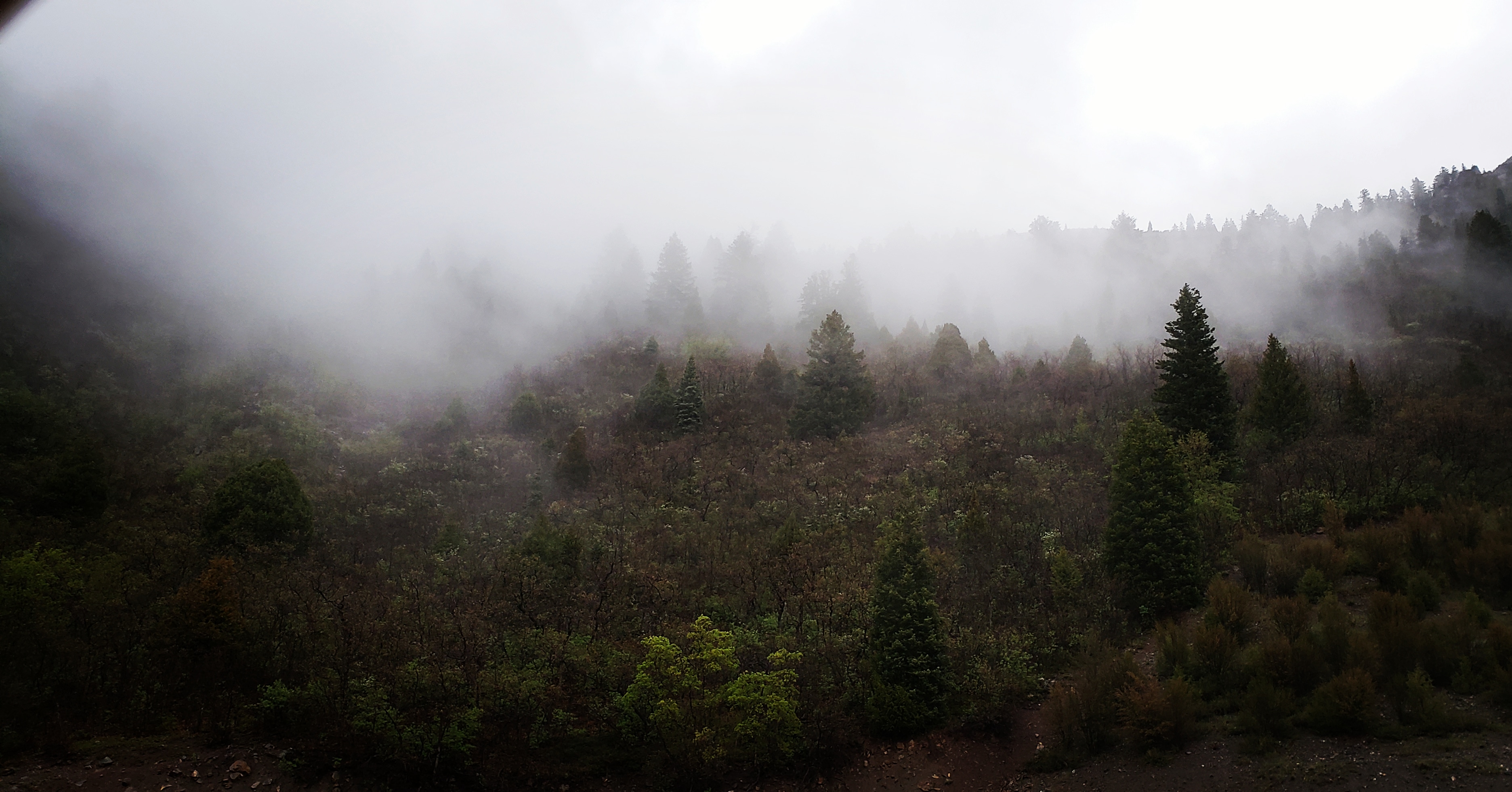 American Fork Canyon, Utah, USA [OC][3744x1960] r/EarthPorn