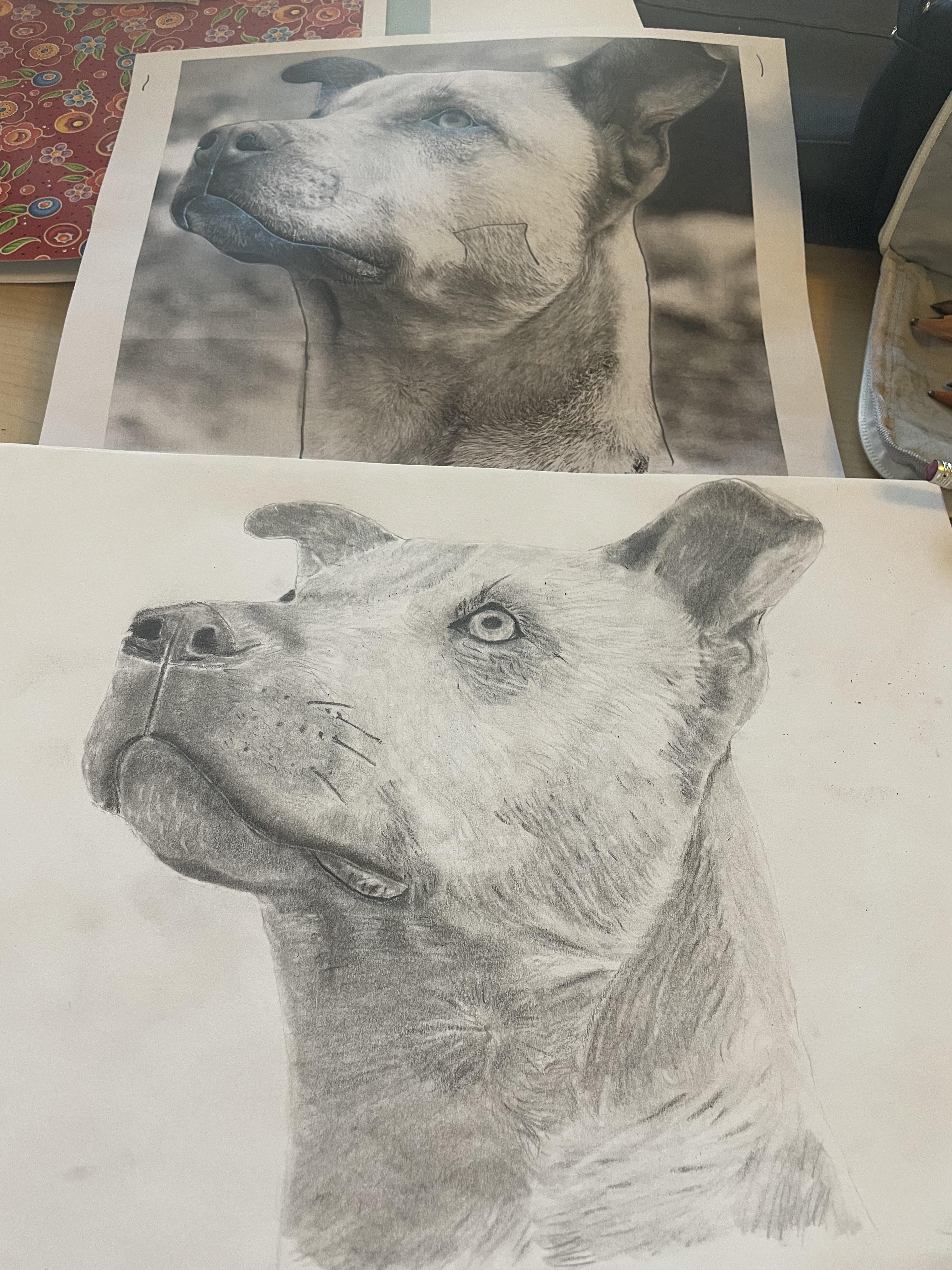 Learning how to draw fur. Feel like it’s close but not quite right. Any