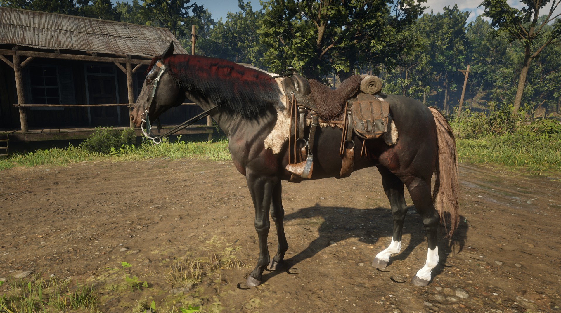I somehow got a bug that combines the bear dakota saddle with the