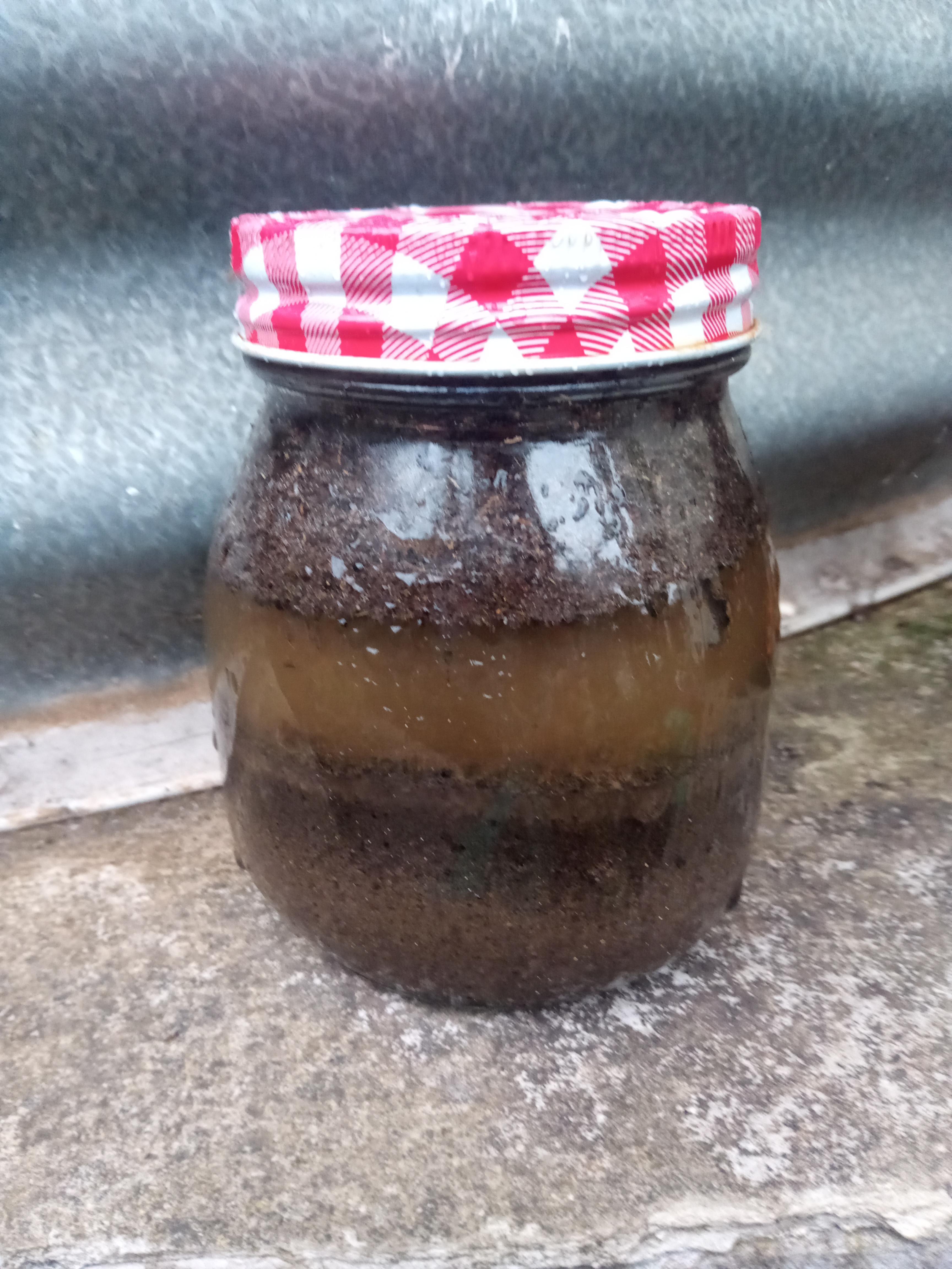 my oil extraction r/nutmeg