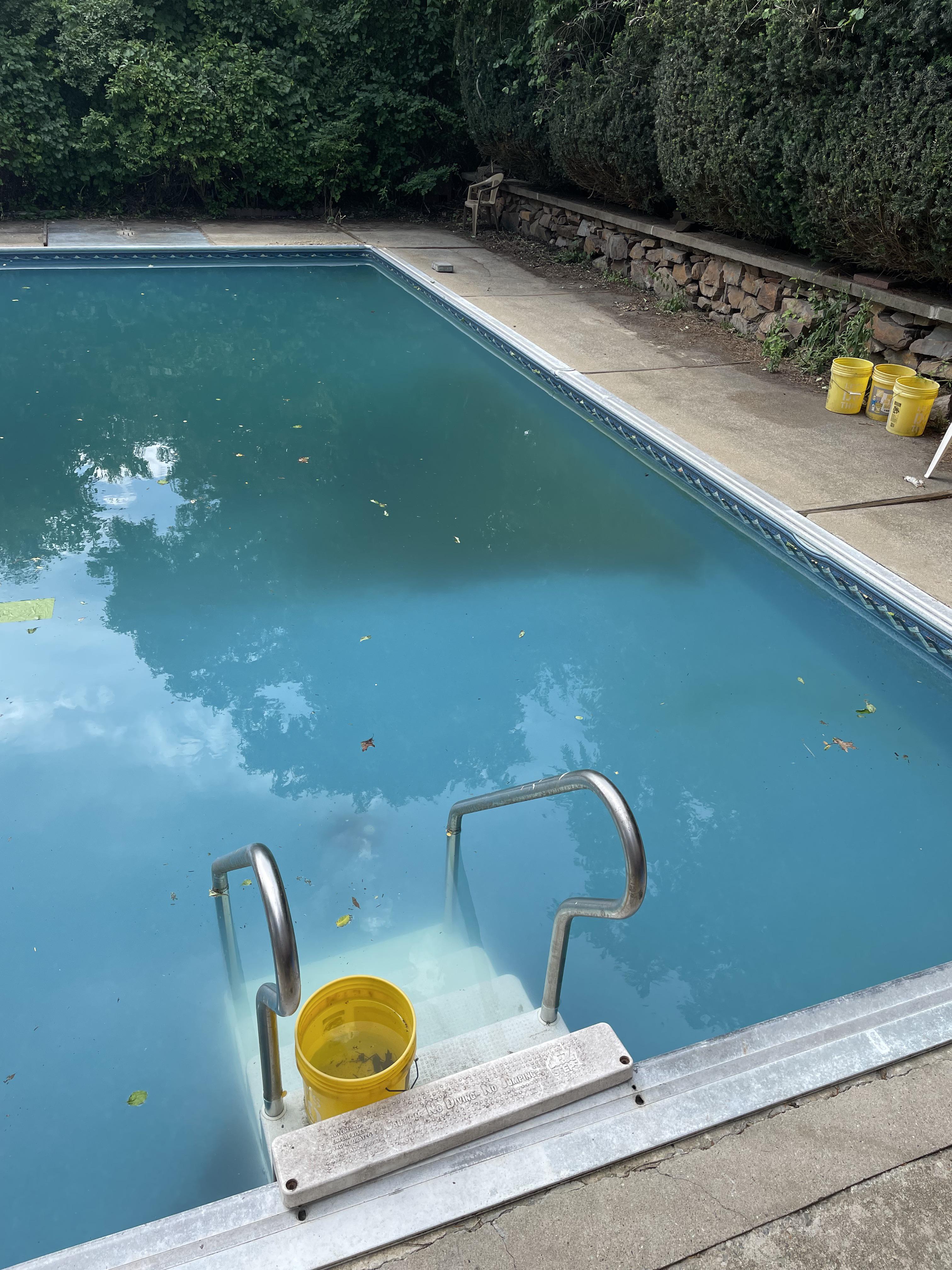 Can I start vacuuming the bottom? r/pools