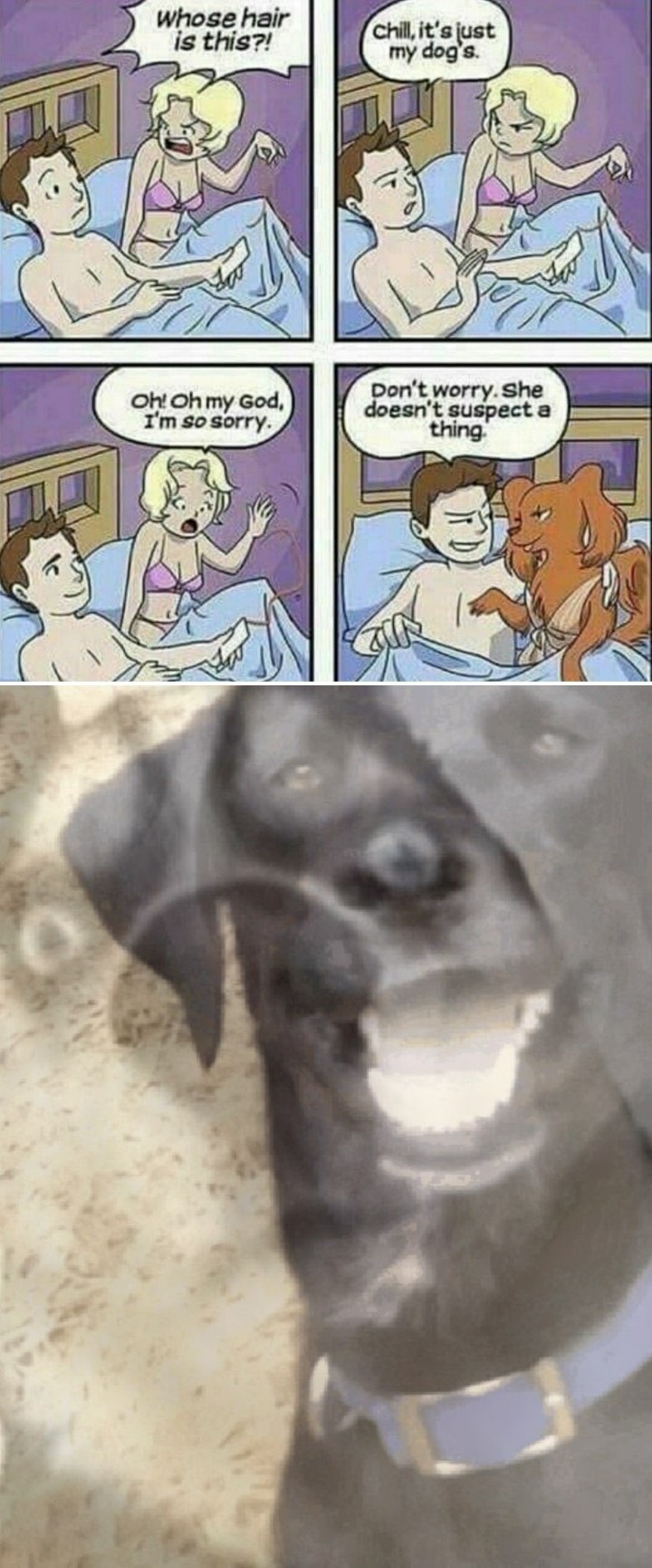 *record scratch* r/memes