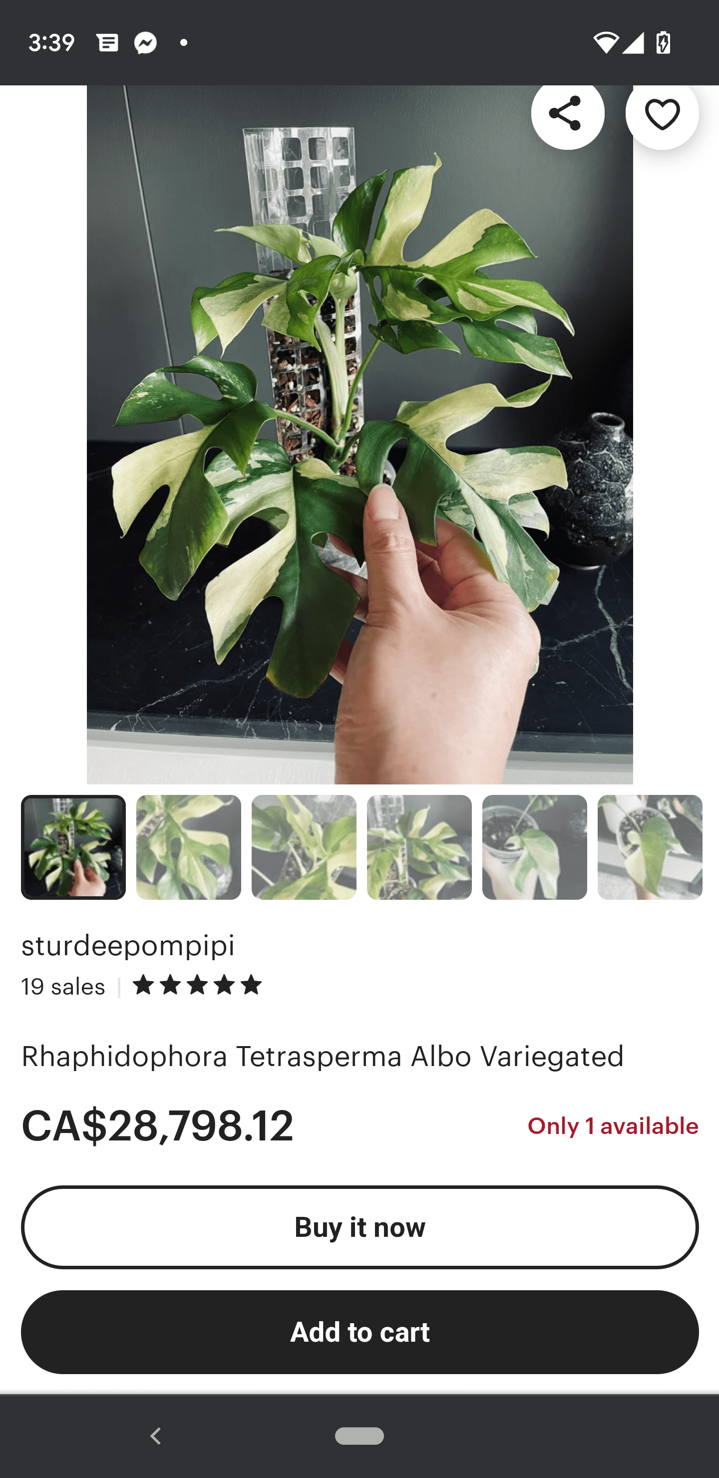 I nearly died when I seen this!! Who is spending that on a plant