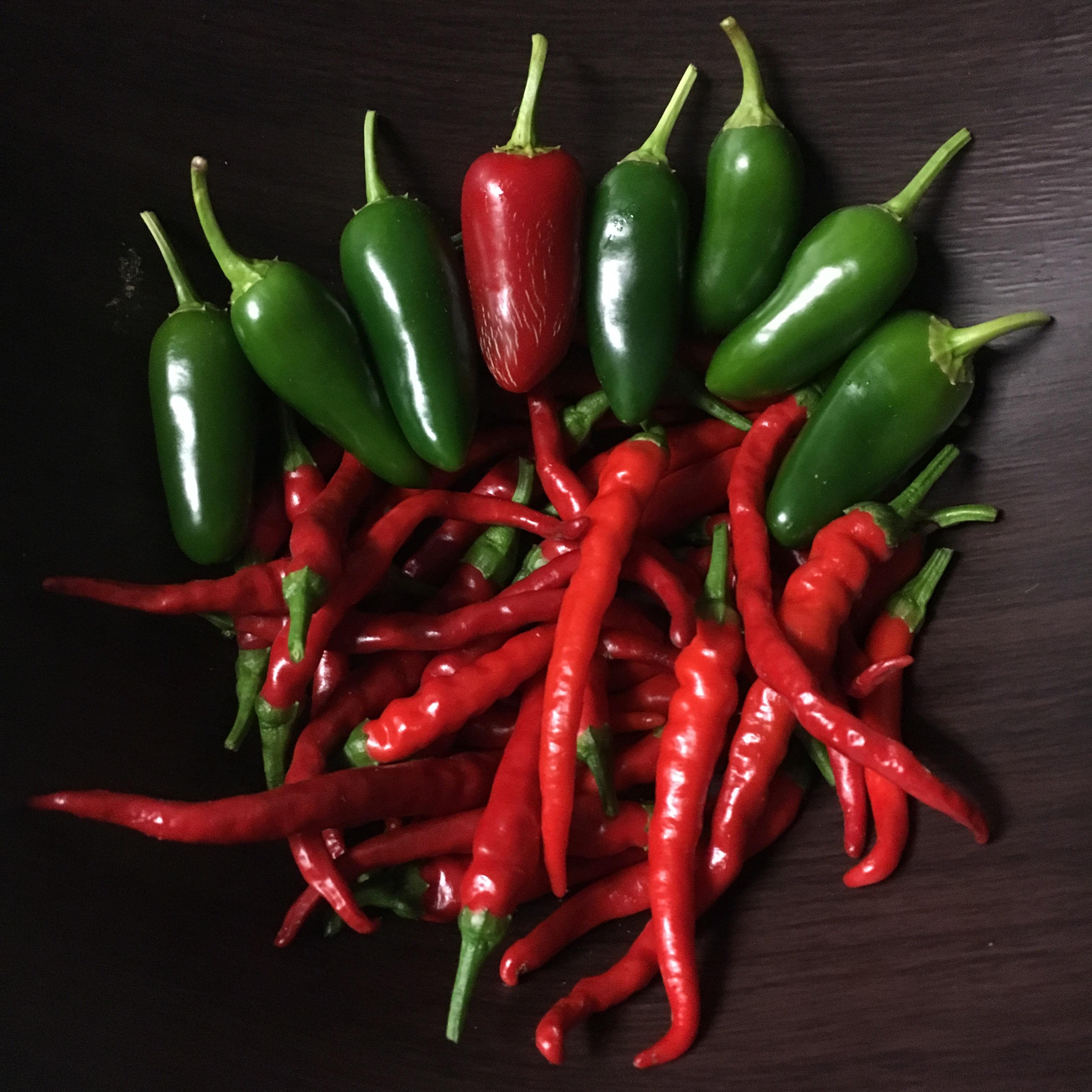 My final harvest of peppers before winter. It's my first time trying to