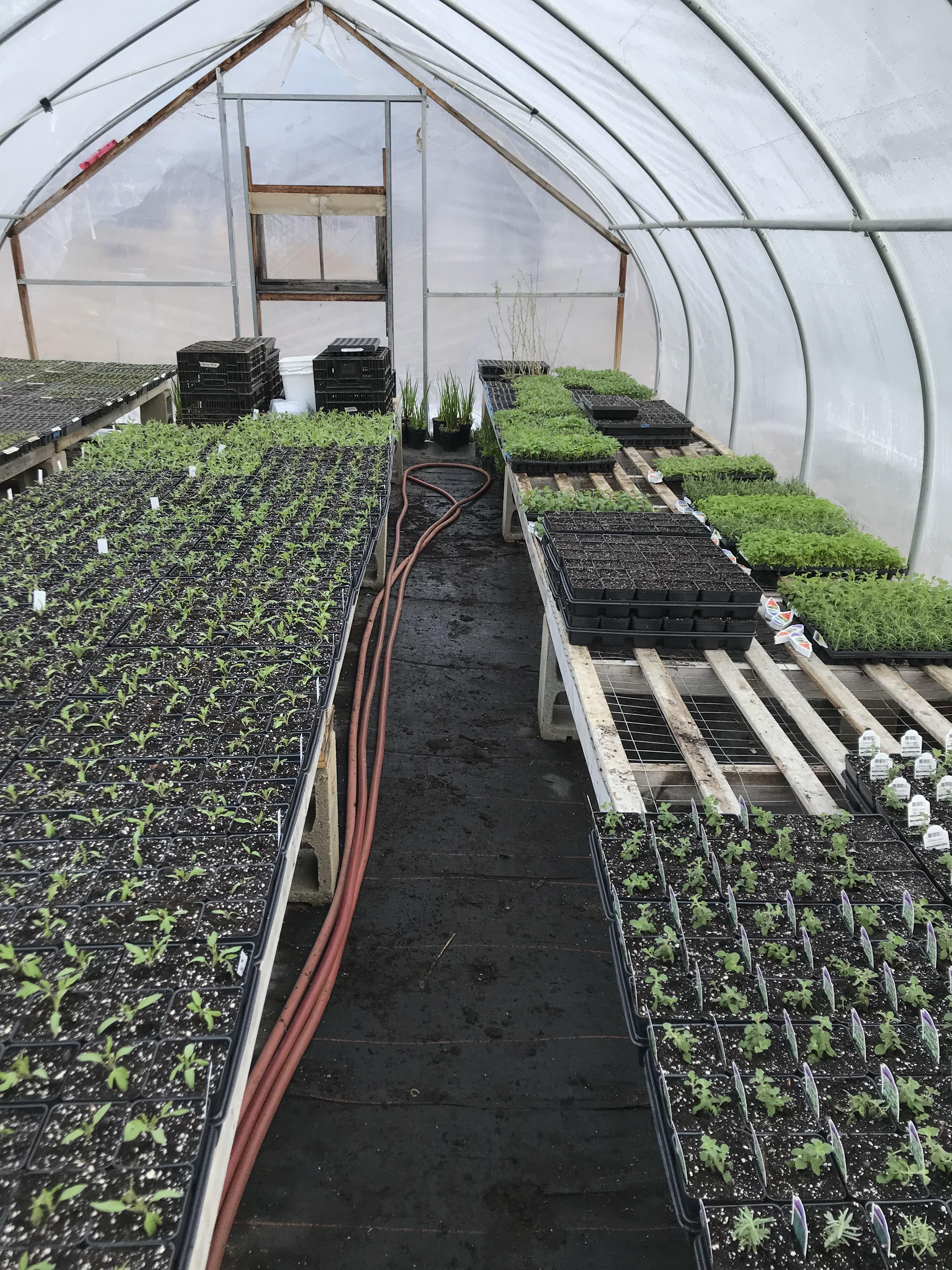 Gearing up for the season here in Maine r/Greenhouses