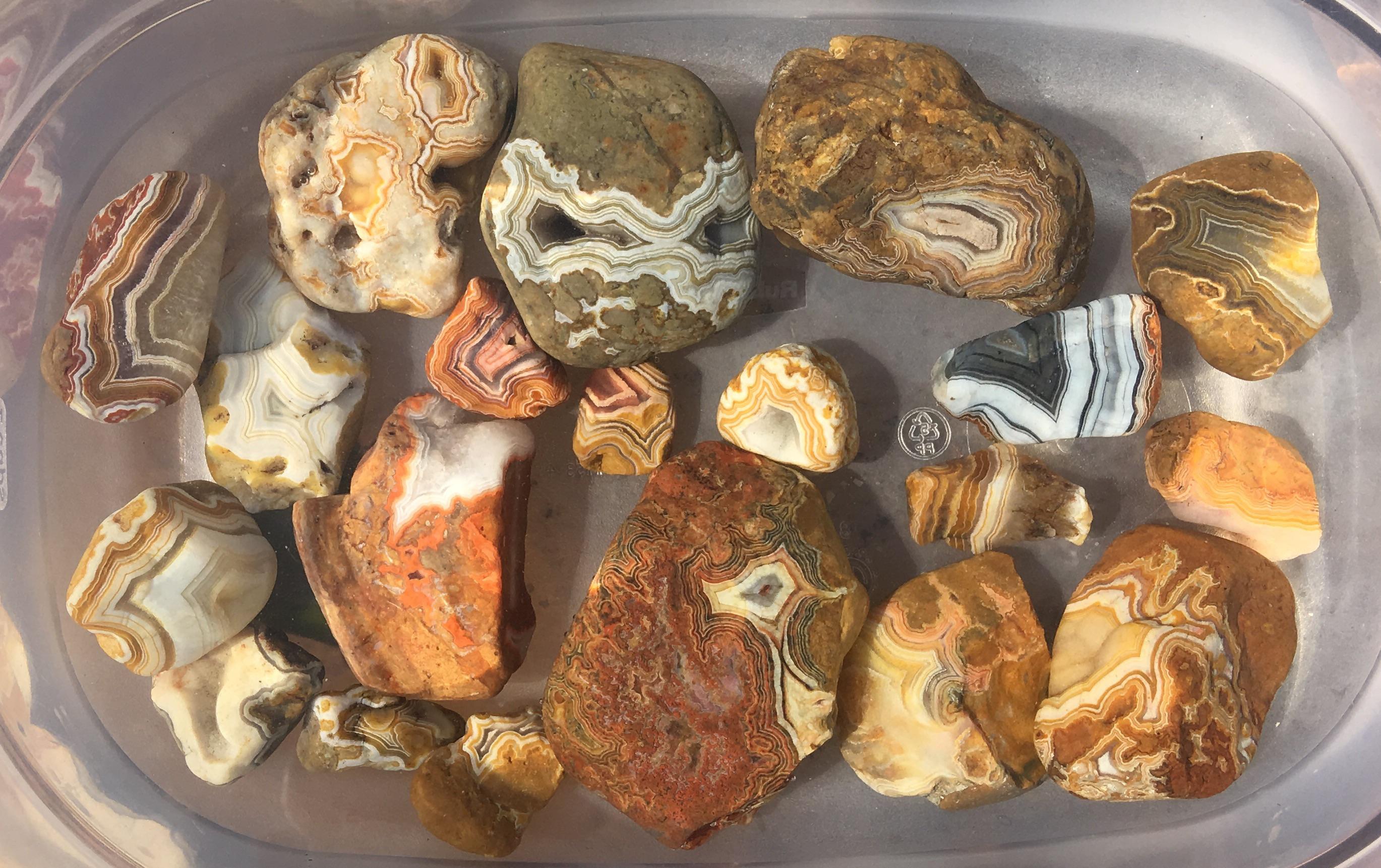 Fairburn agates collected from South Dakota r/geology