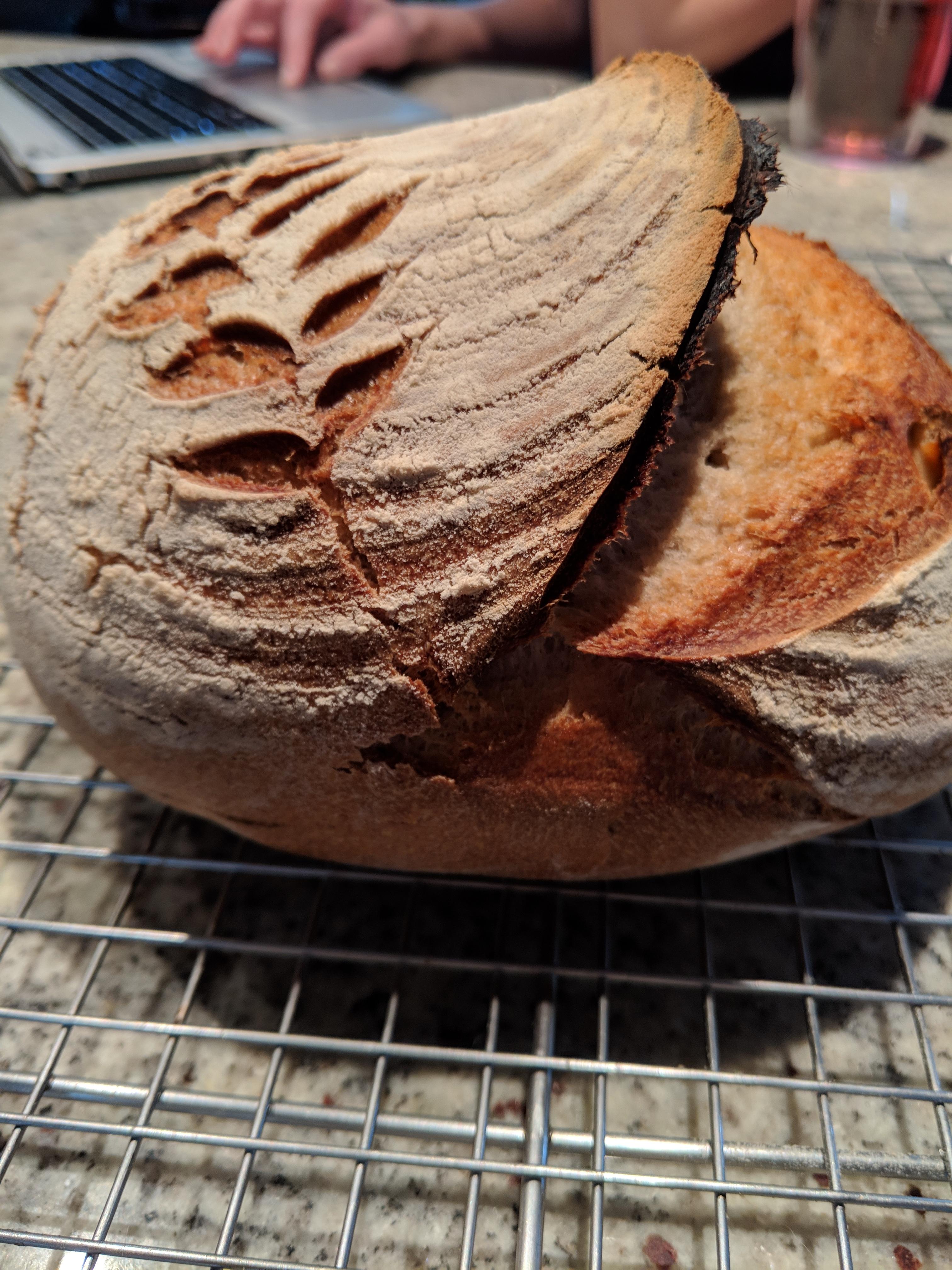 Today's sourdough ear r/Breadit