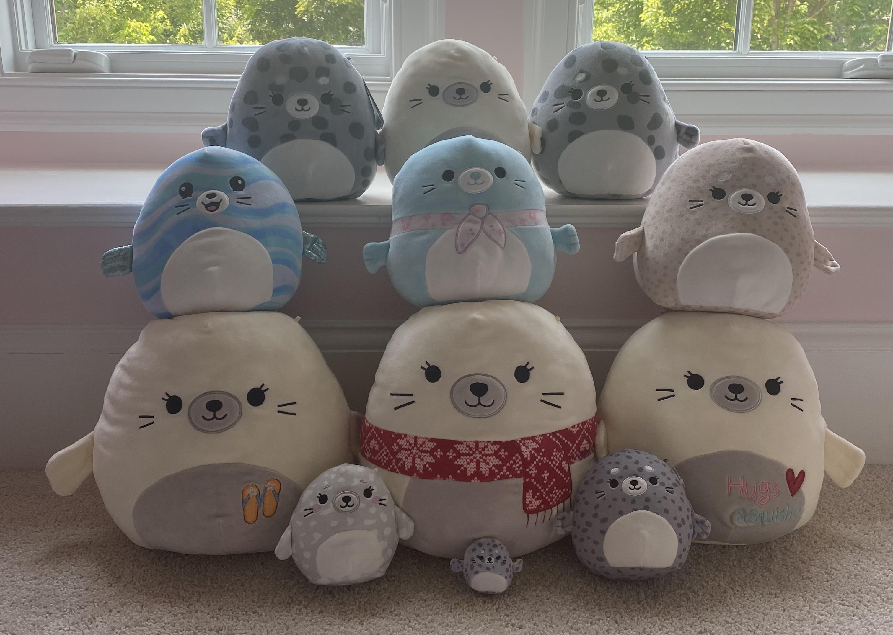 My Seal Squishmallow Collection 🦭💕 squishmallow