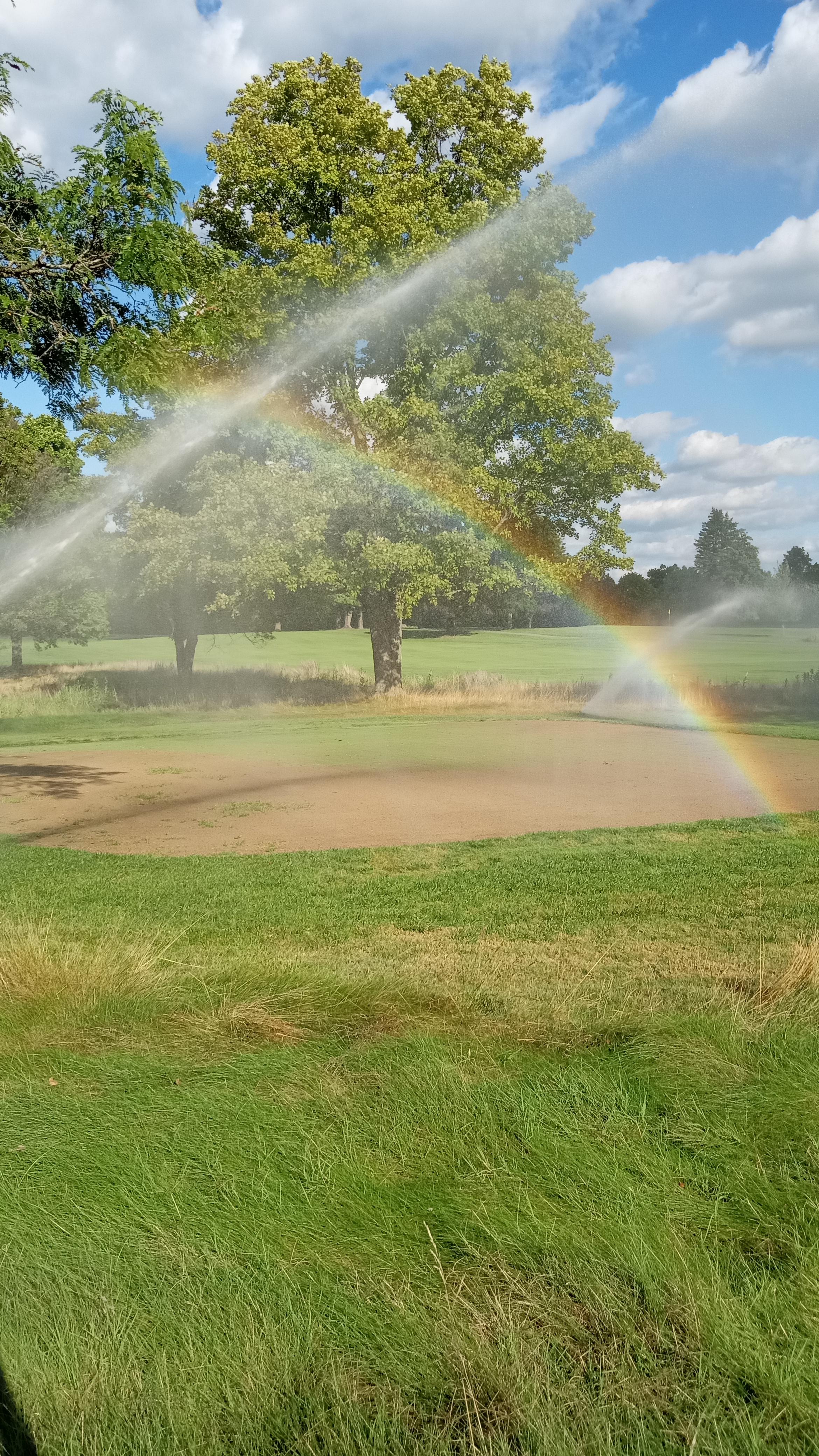 green nursery Reddit post and comment search SocialGrep