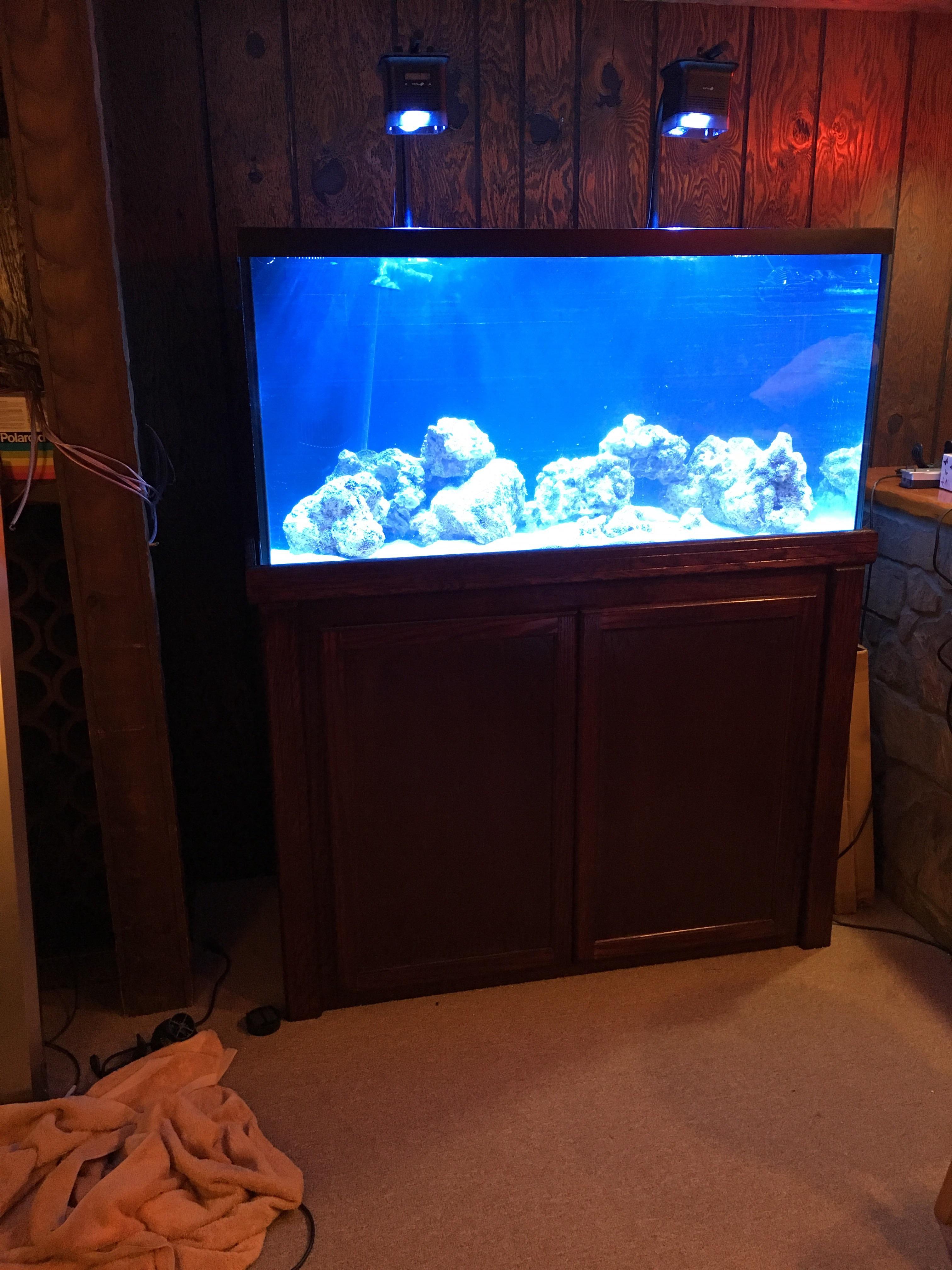 Just filled 90 gallon reef tank, getting ready to cycle it r/Aquariums
