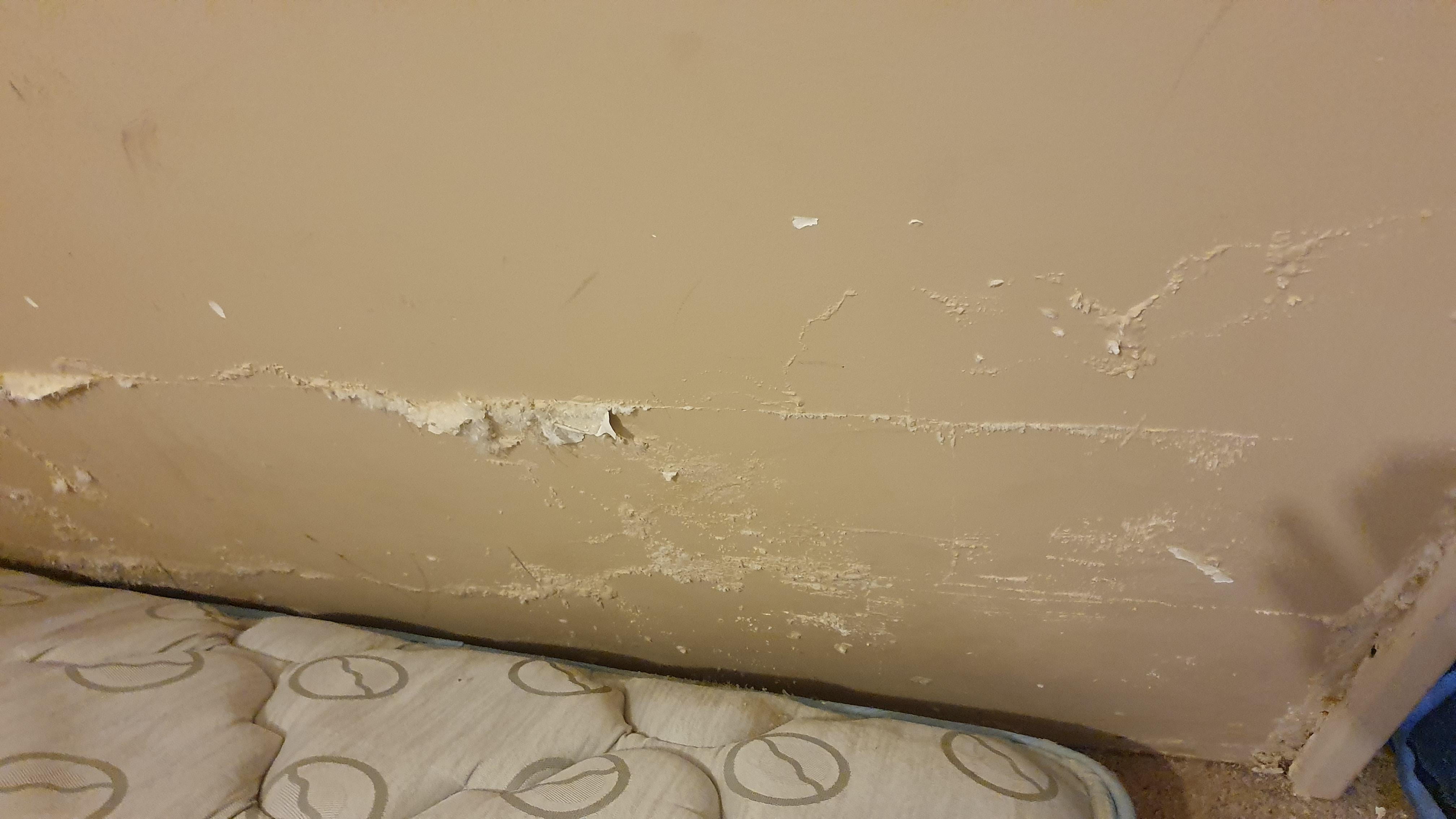 Got a leak in the wall behind my shower, How can I fix r/howto
