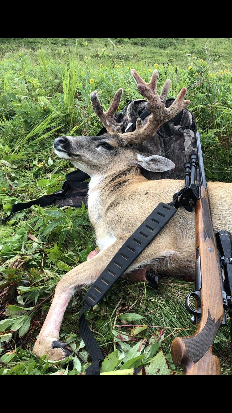 Got a nice Sitka blacktail on kodiak island the other day. Long pack