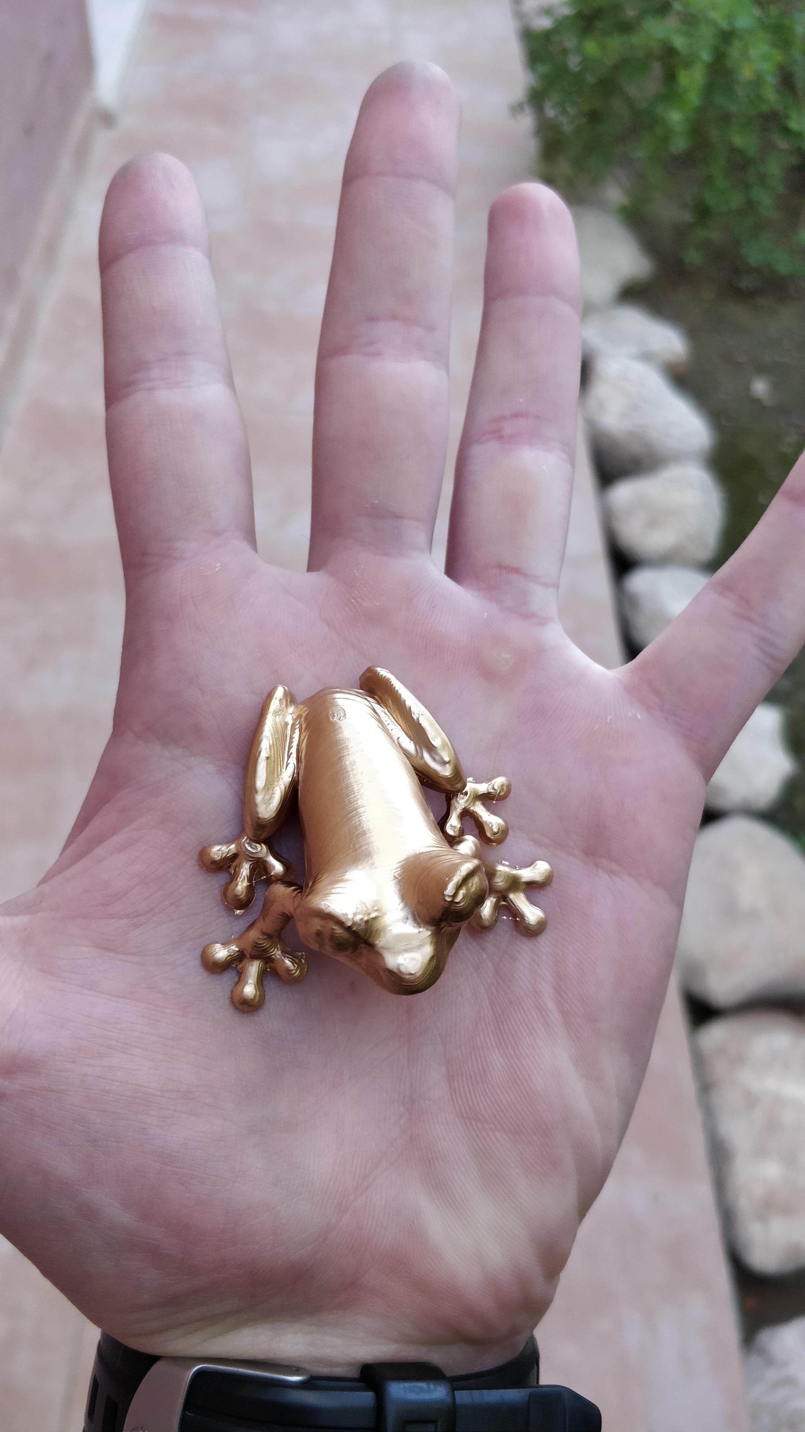 Bought some gold spray paint. Worth it! r/3Dprinting