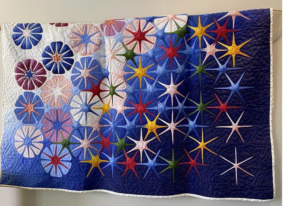 Seen at the National Quilt Museum in Paducah, KYit's not fabric, it's