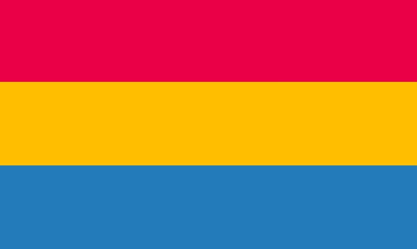 me and my friend agreed that the pan flag was just really shitty so I