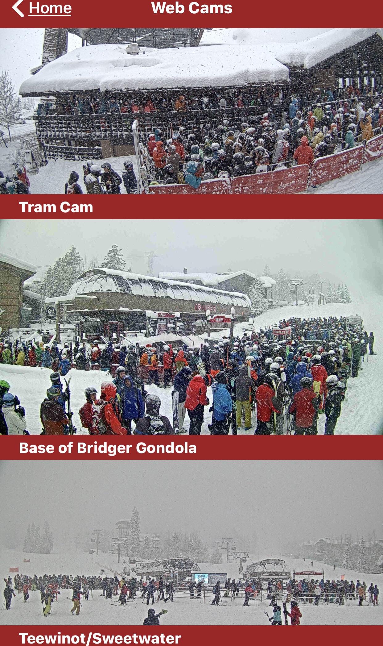 Jackson Hole is full r/skiing