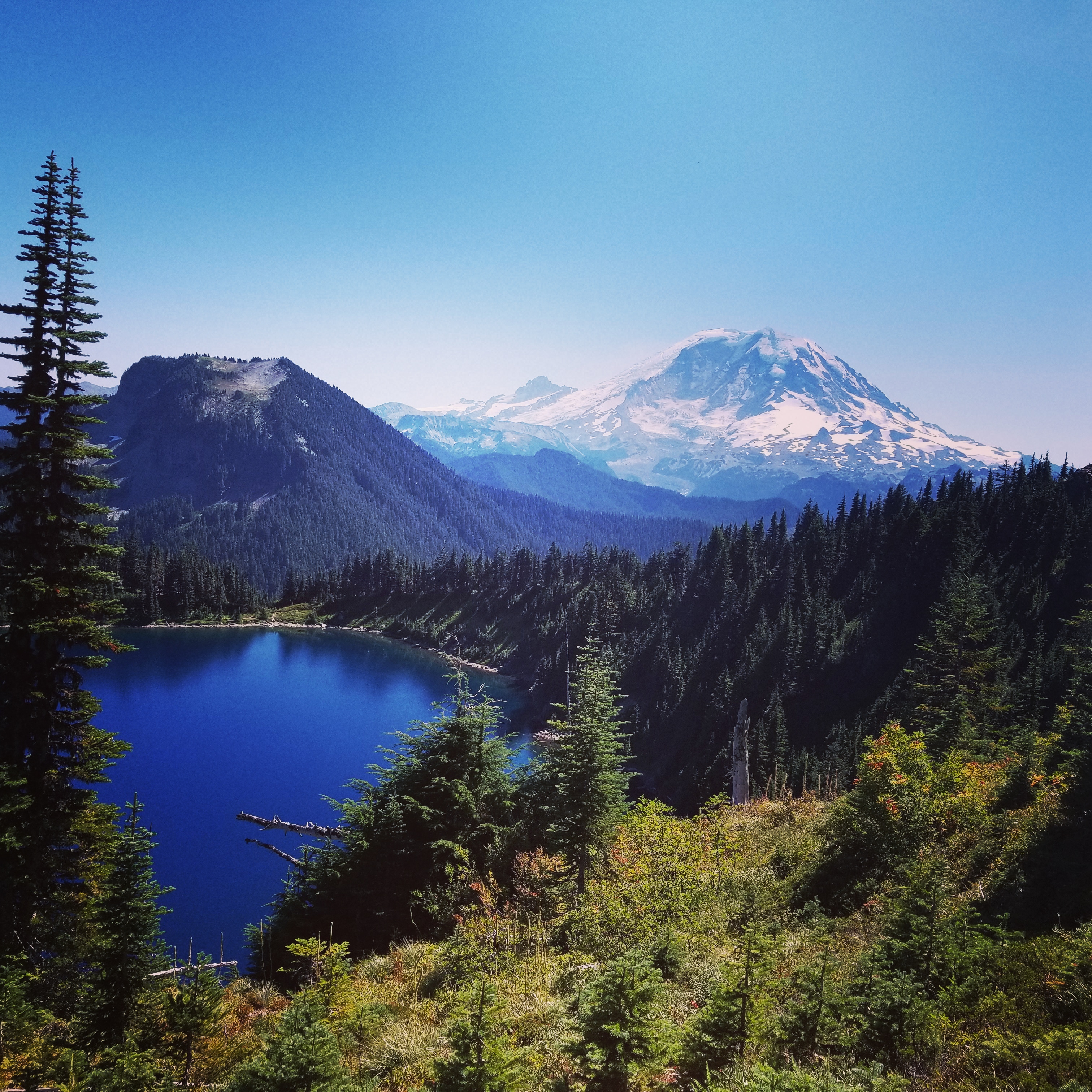 Summit Lake WA, With an amazing veiw of MT Rainier [OC] 3024×3024 r
