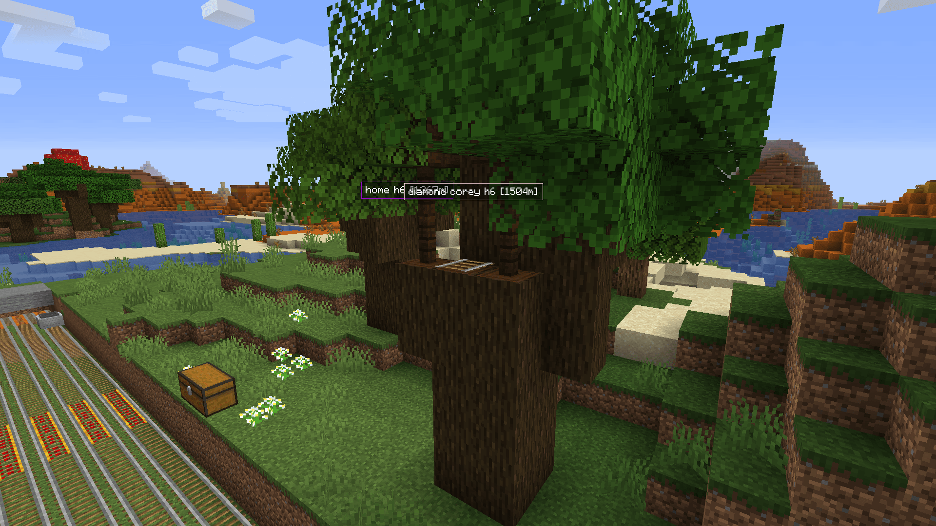 Dark Oak Tree Minecraft