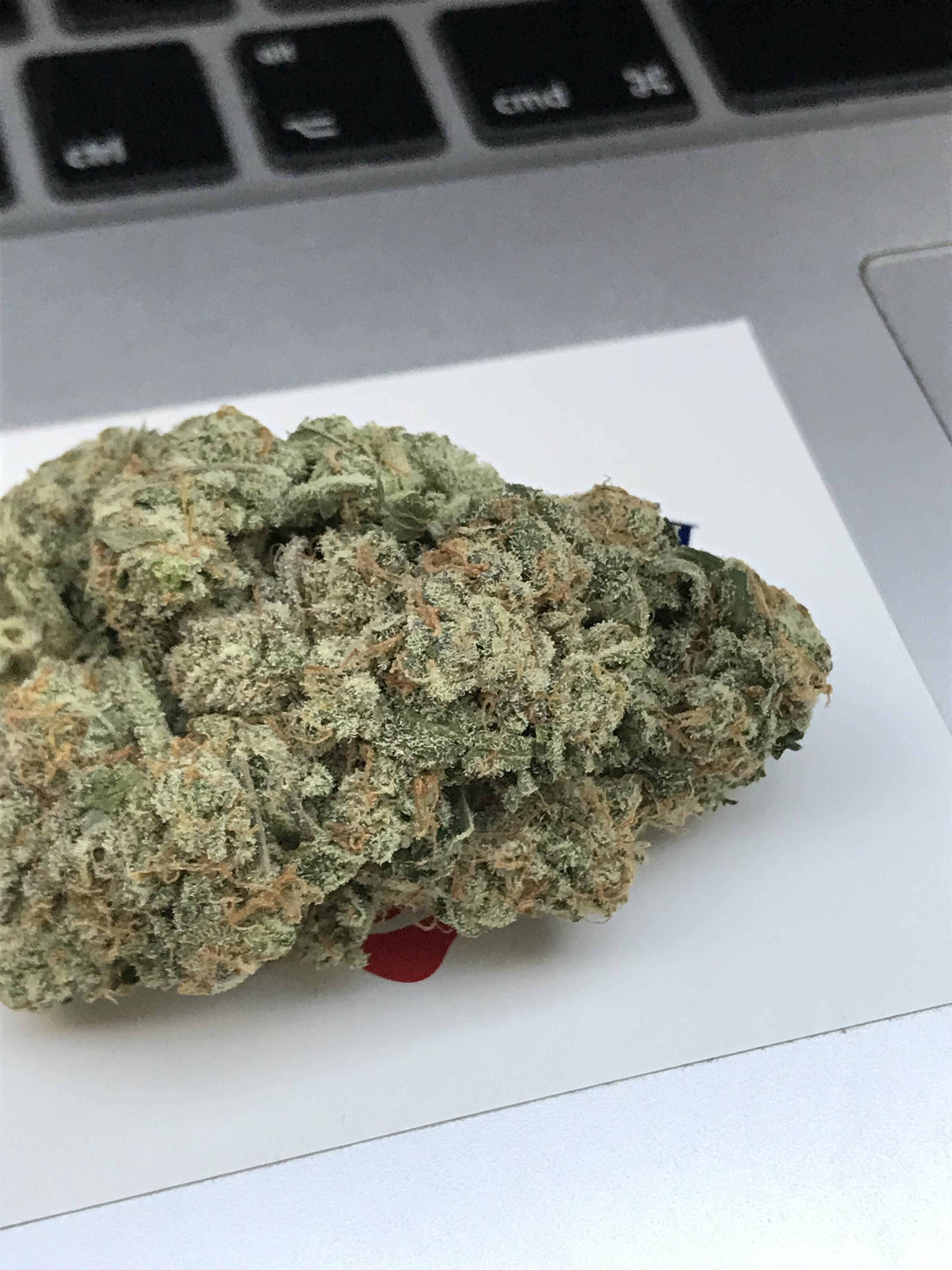 Divine jelly uktrees