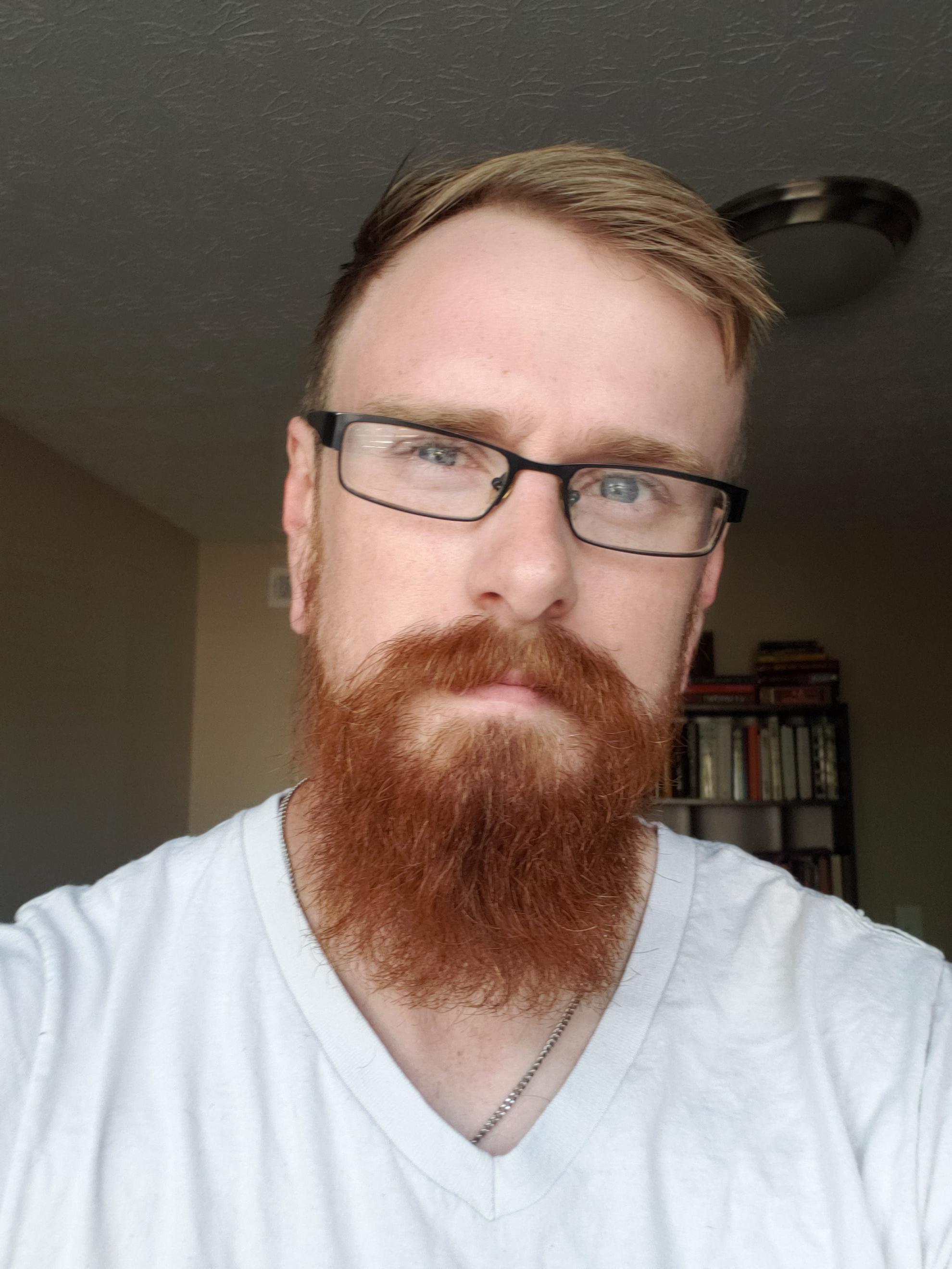 Beard trim and hair cut beards