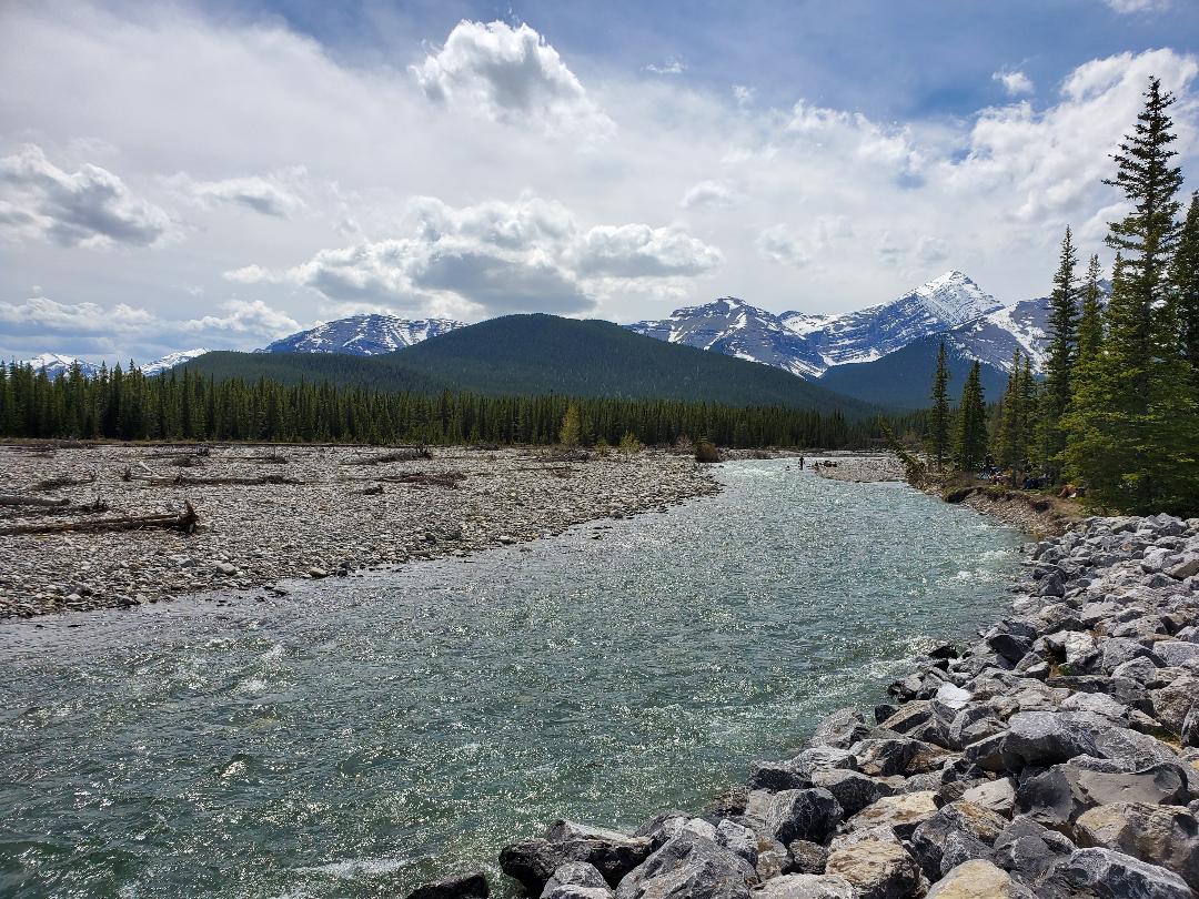 Just a picture I clicked near Bragg Creek this morning ) r/alberta