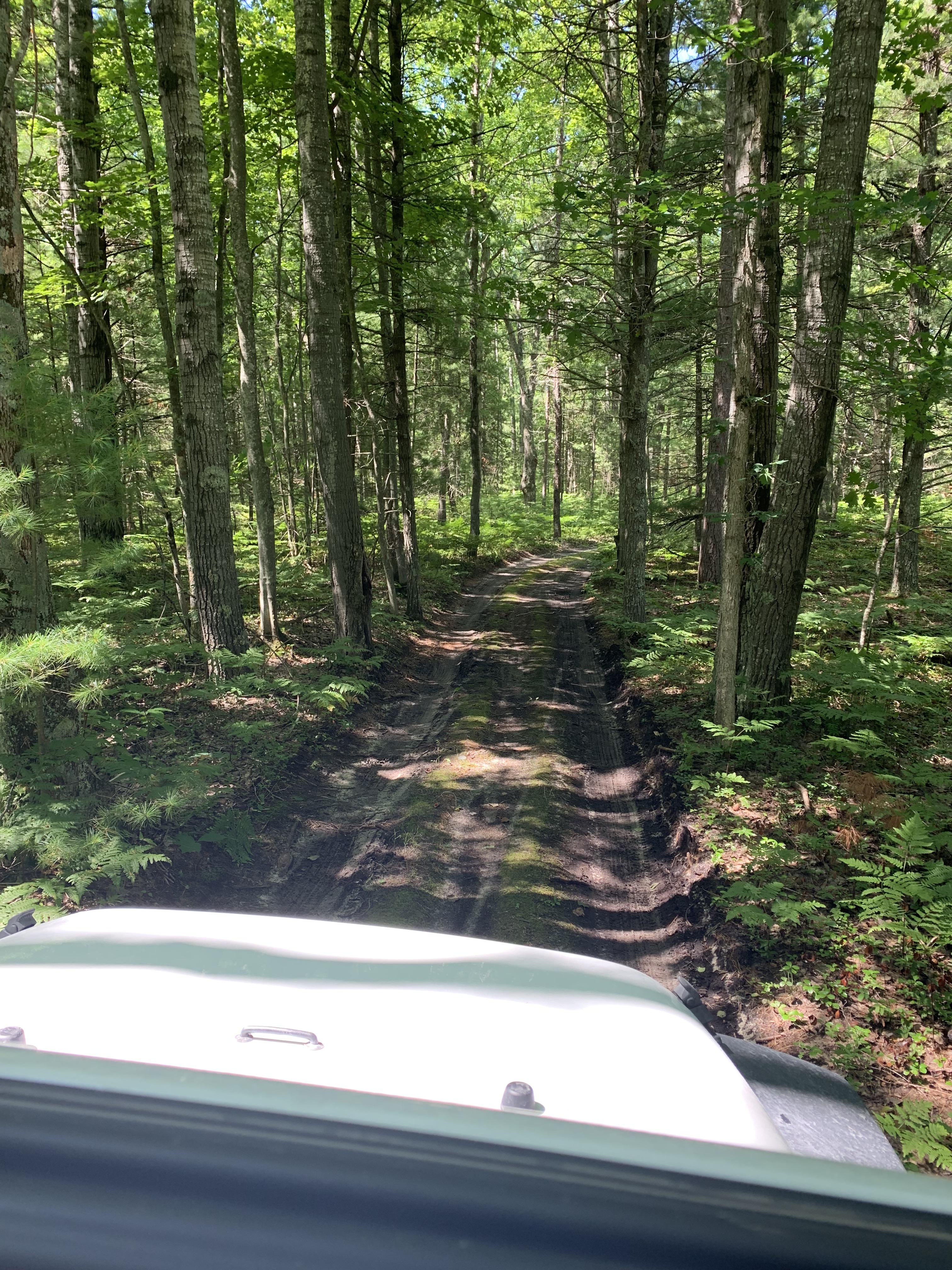 I think I have found Jeep paradise! Sleeping Bear Dunes. Making my way